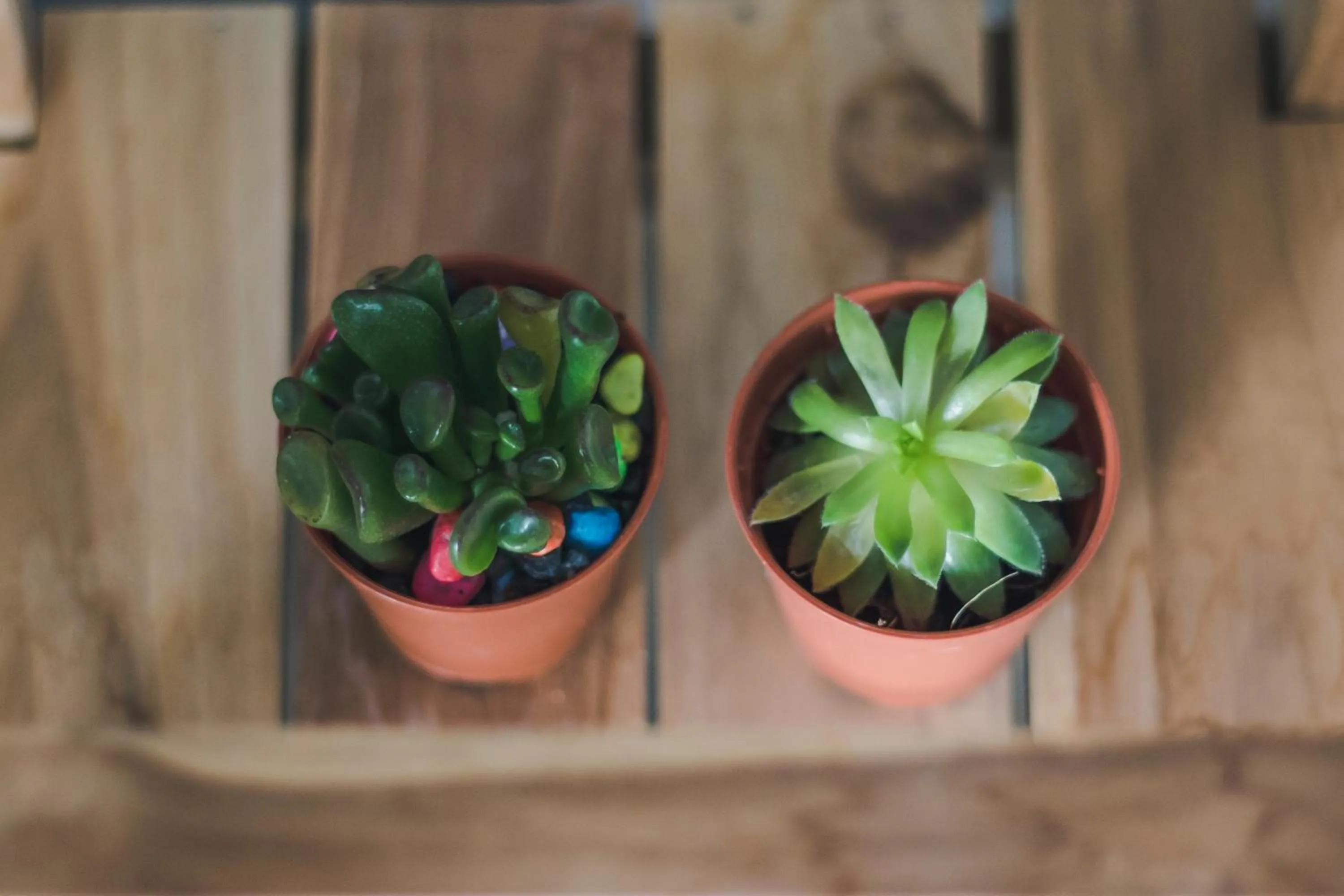 Decorative detail in Km Hotel Chiang Mai