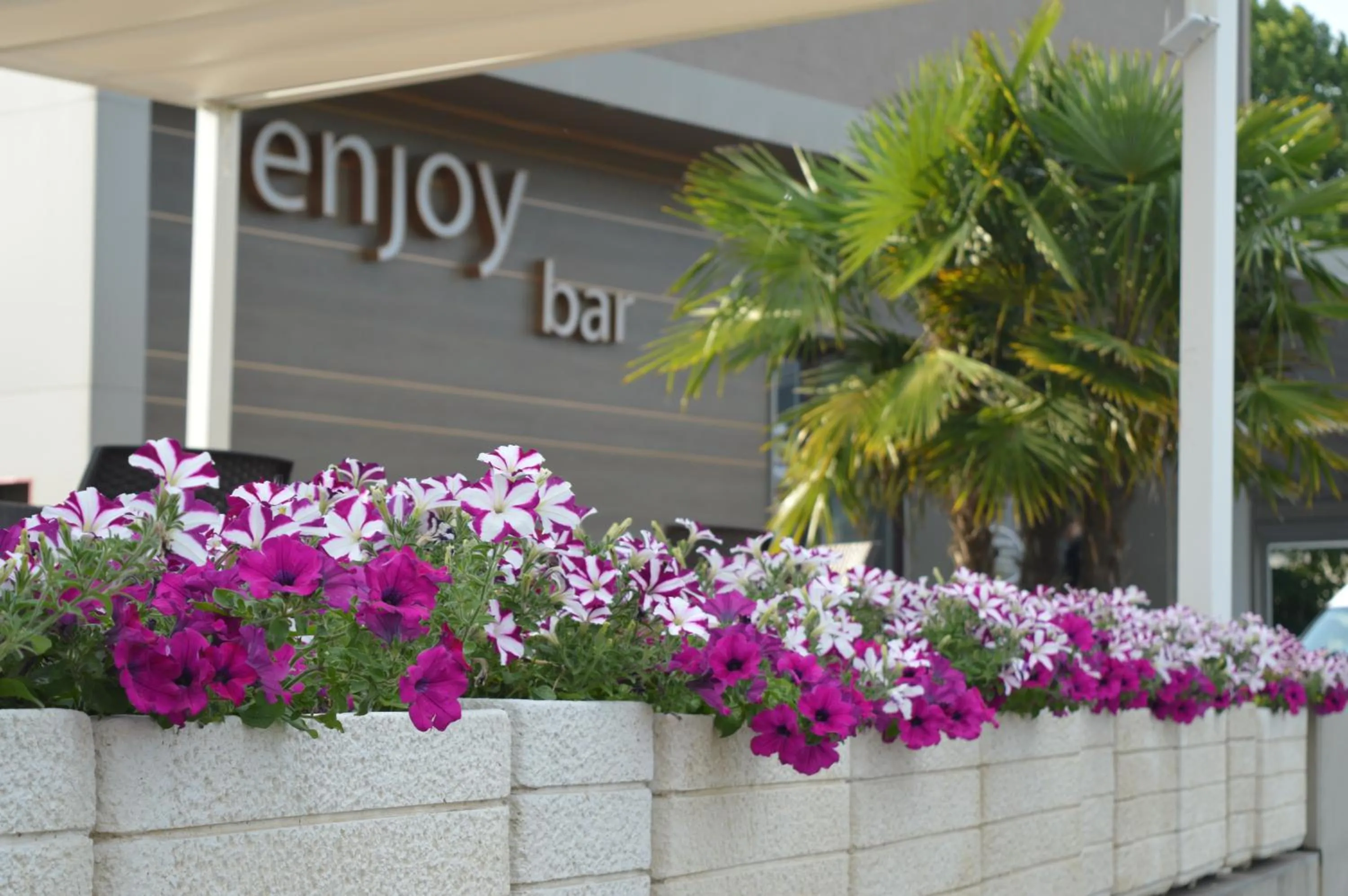 Property building in Hotel Enjoy