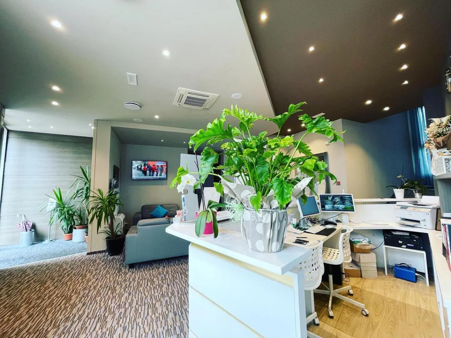 Restaurant/places to eat in Hotel Enjoy