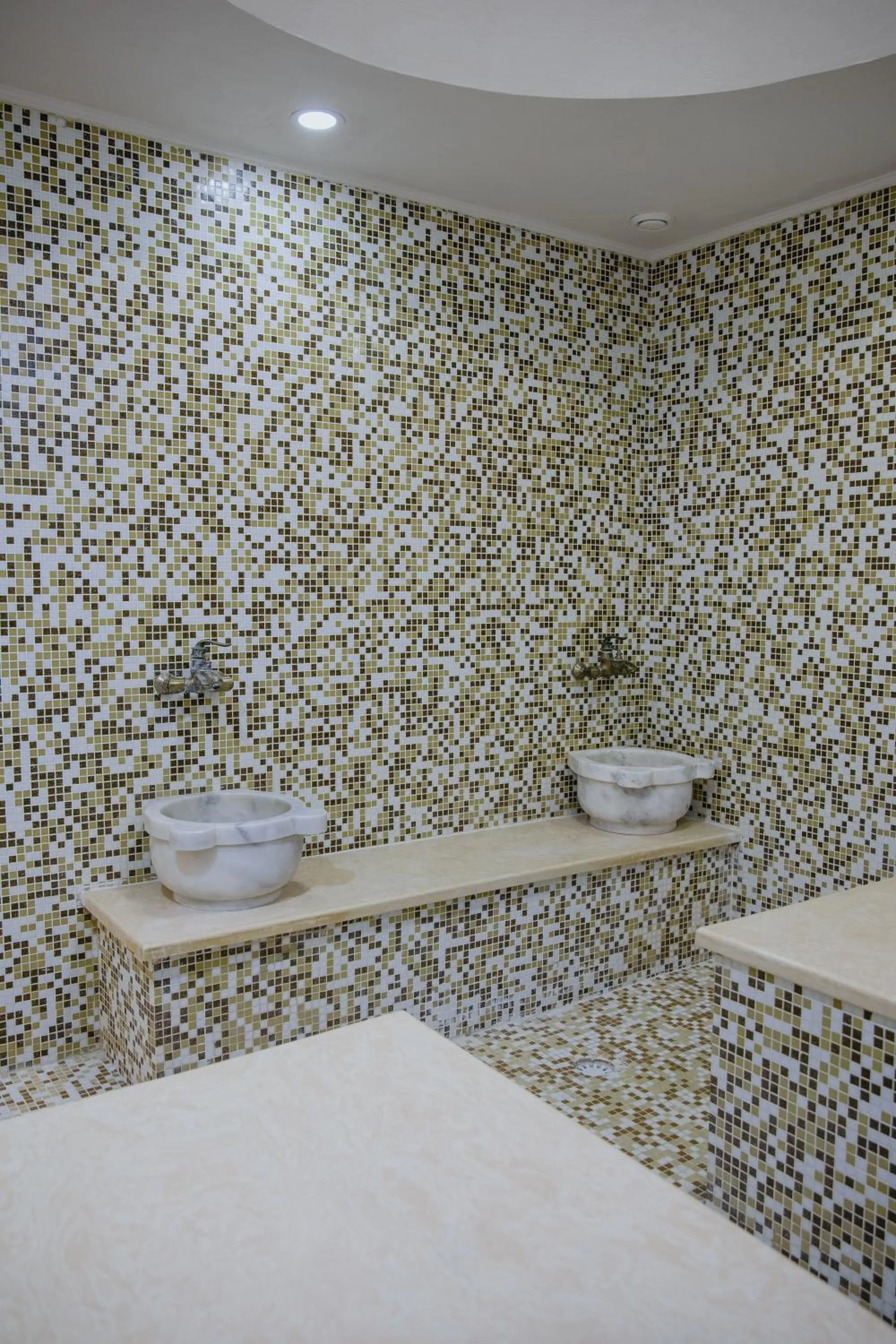 Swimming pool in Rahat Palace Hotel