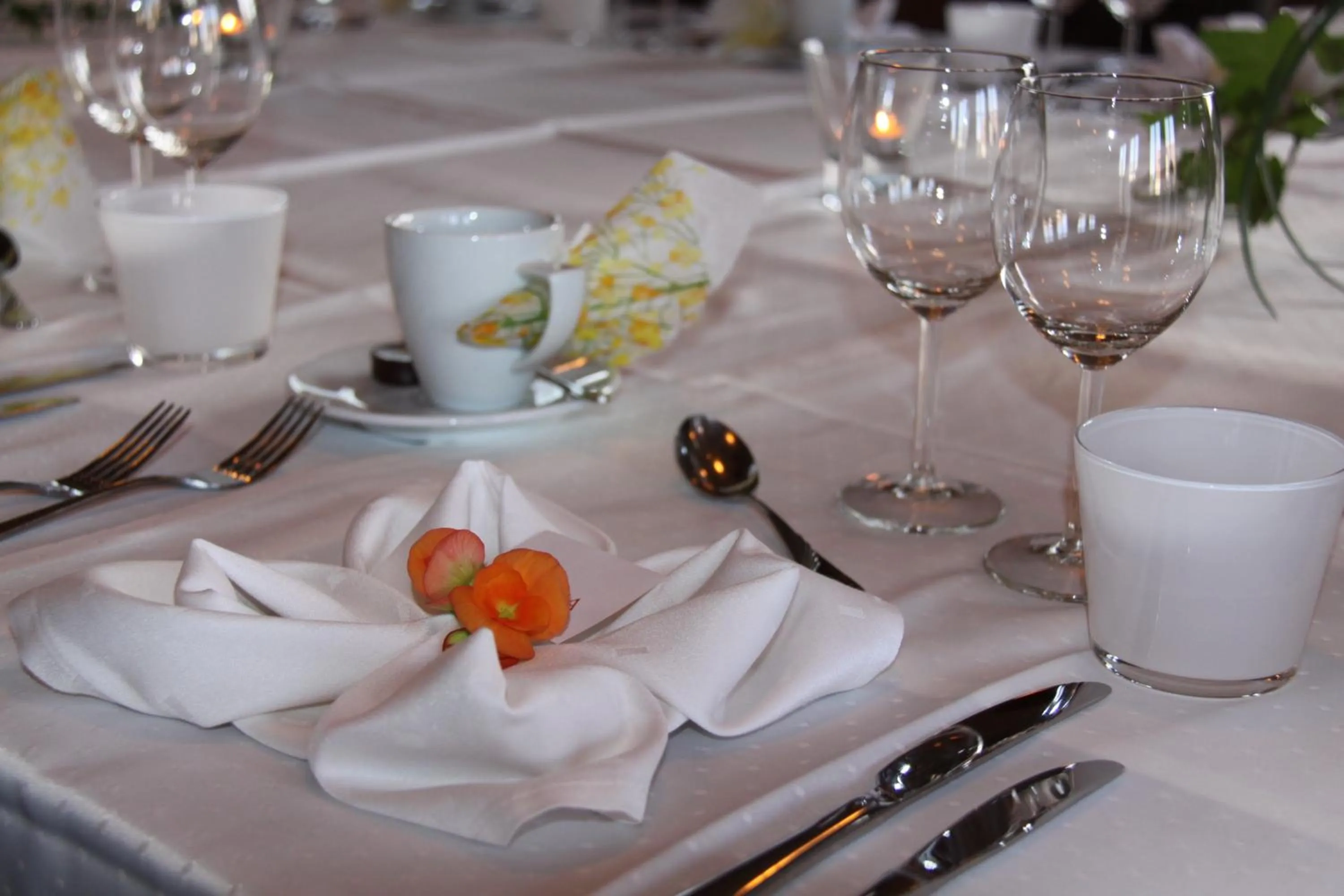 Other in Loimaan Seurahuone