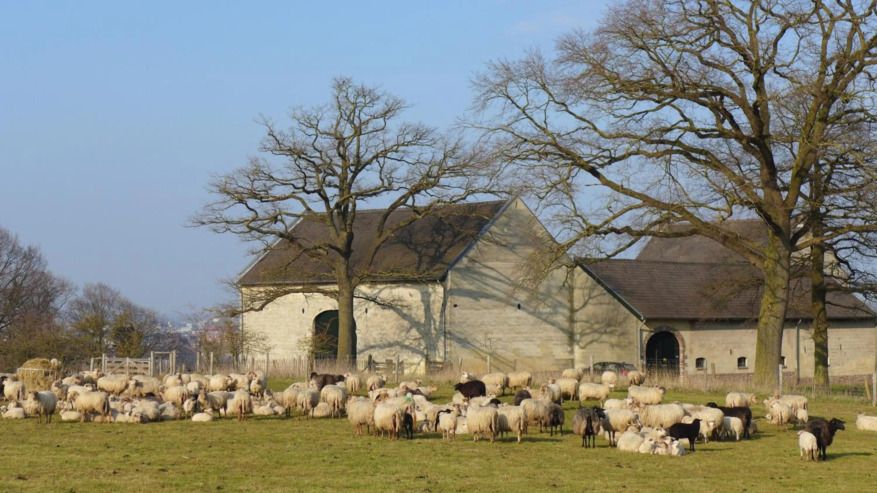 Natural landscape in Logis Pastis
