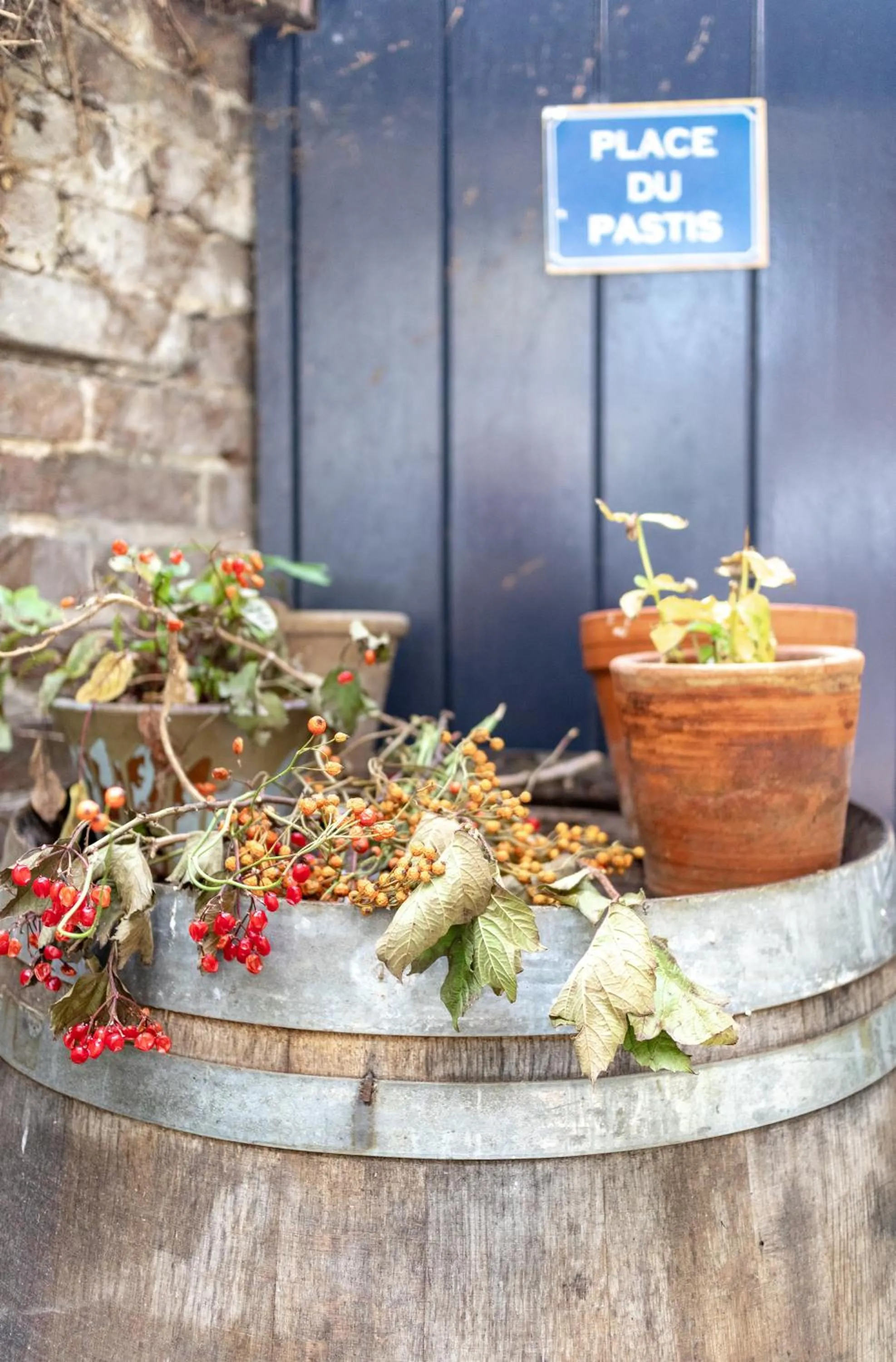 Garden in Logis Pastis