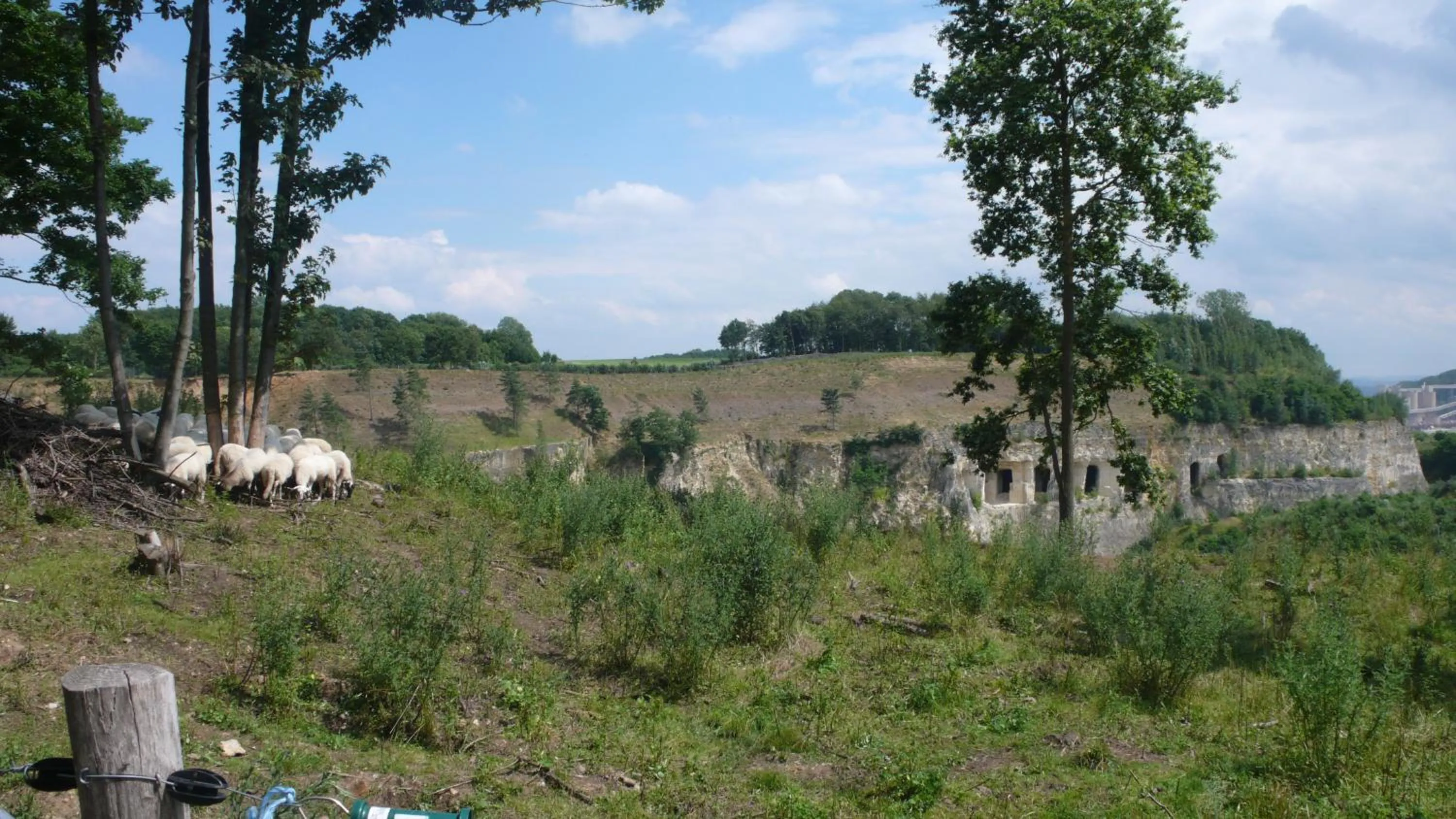 Natural landscape in Logis Pastis