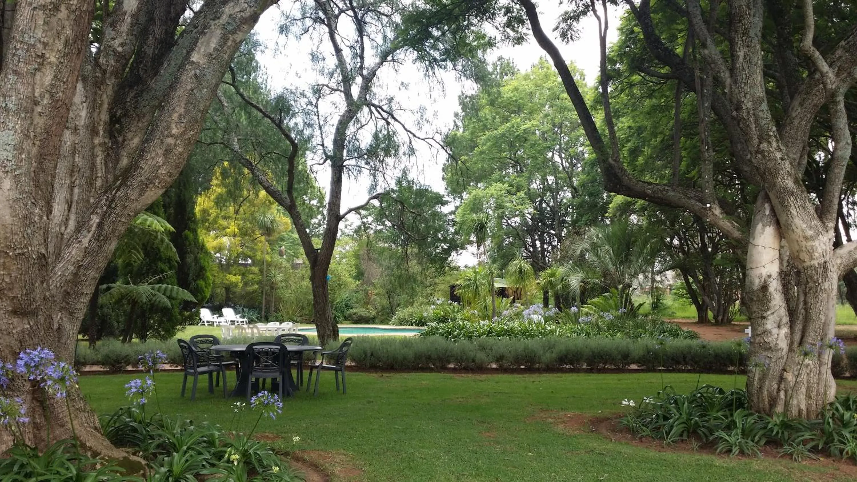 Garden in Farmhouse Lodge