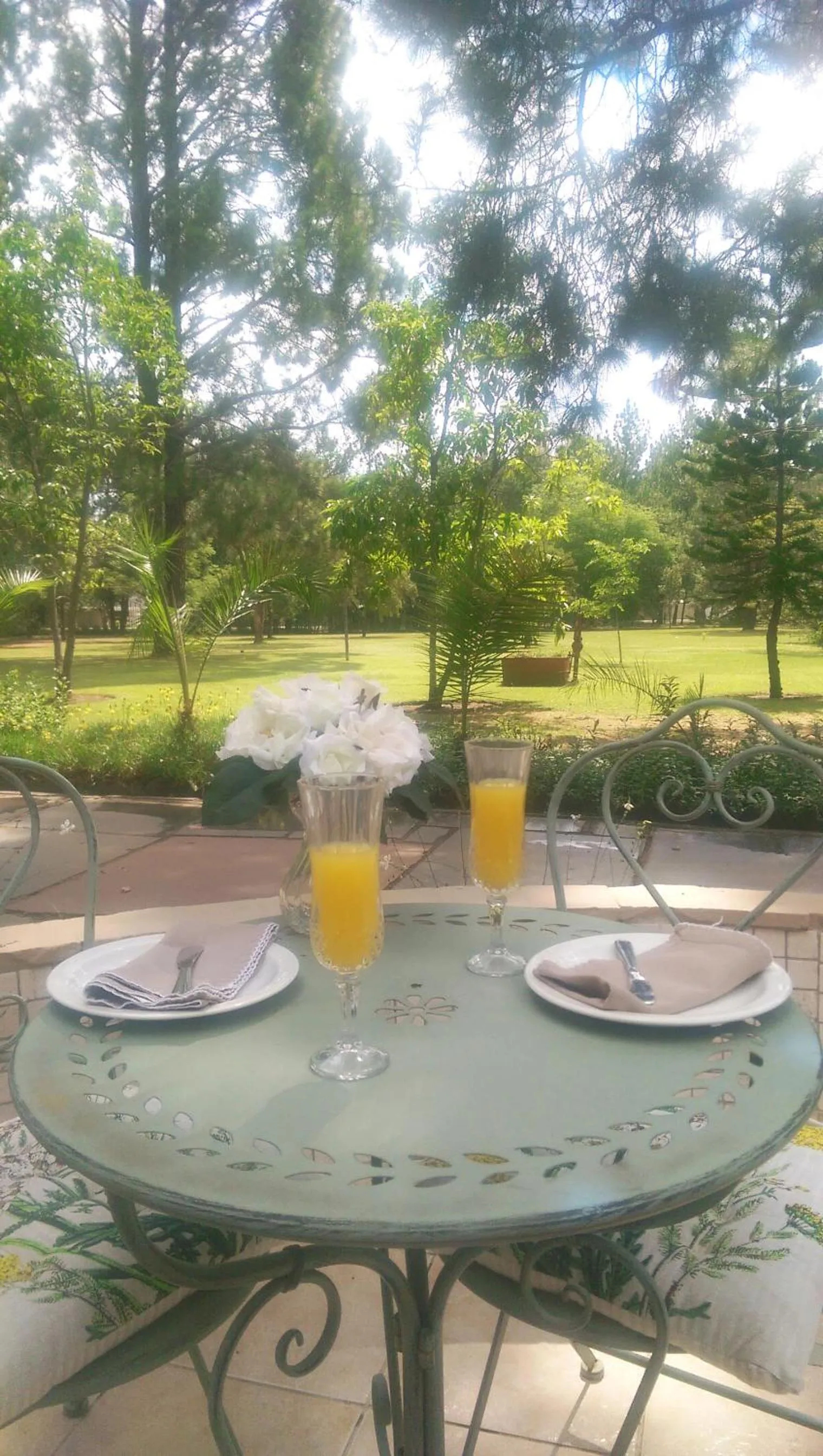 Garden in Farmhouse Lodge