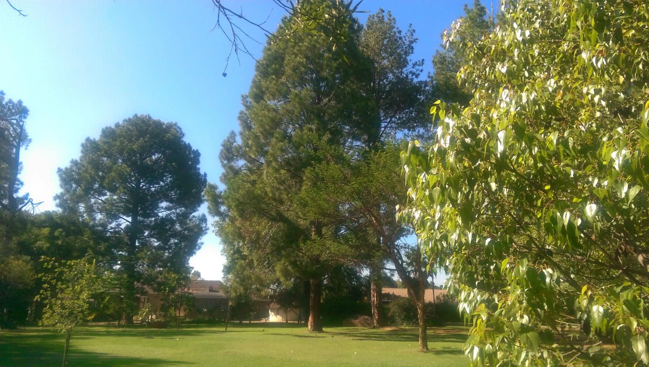 Garden in Farmhouse Lodge