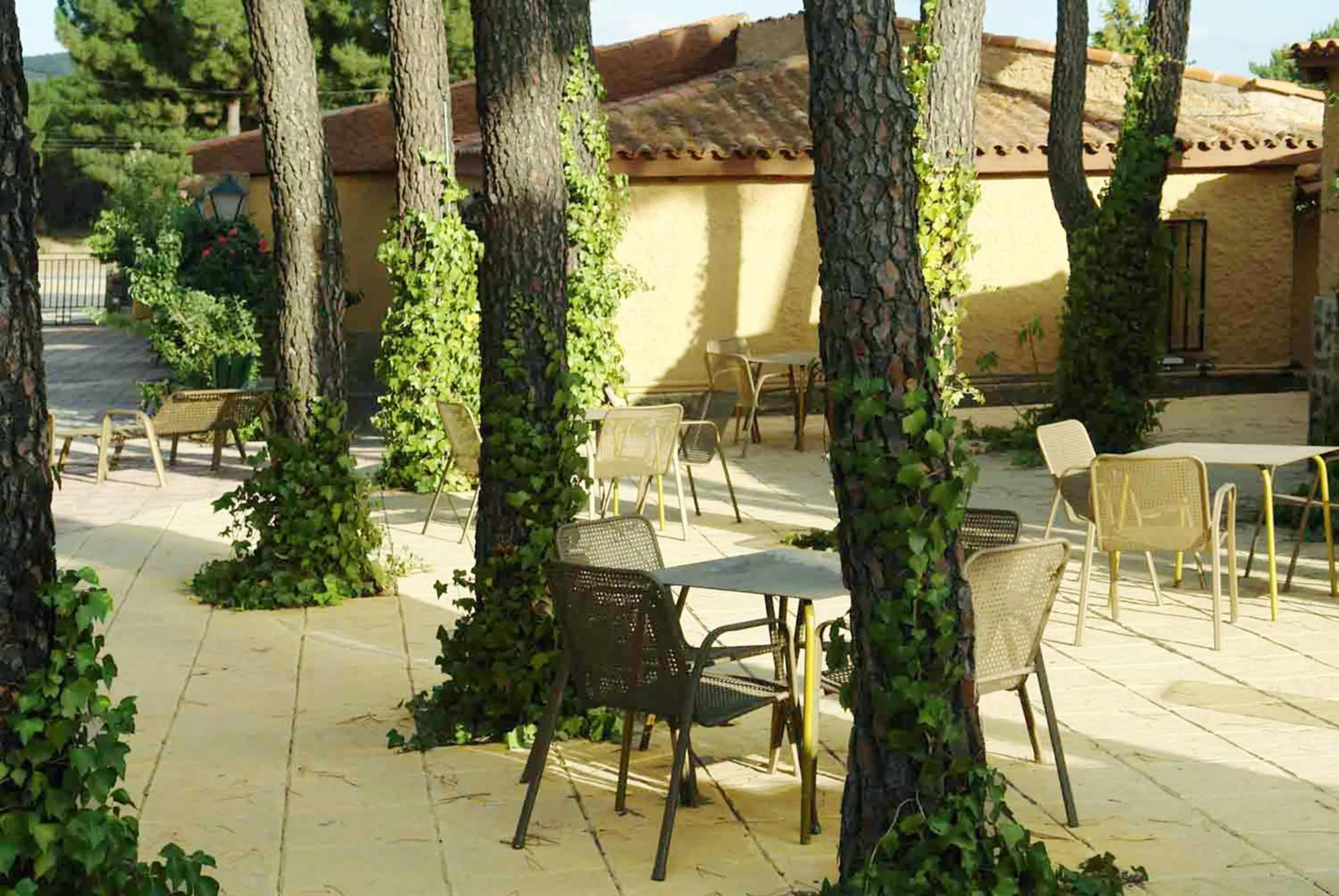 Garden in Hotel Rural Don Quijote