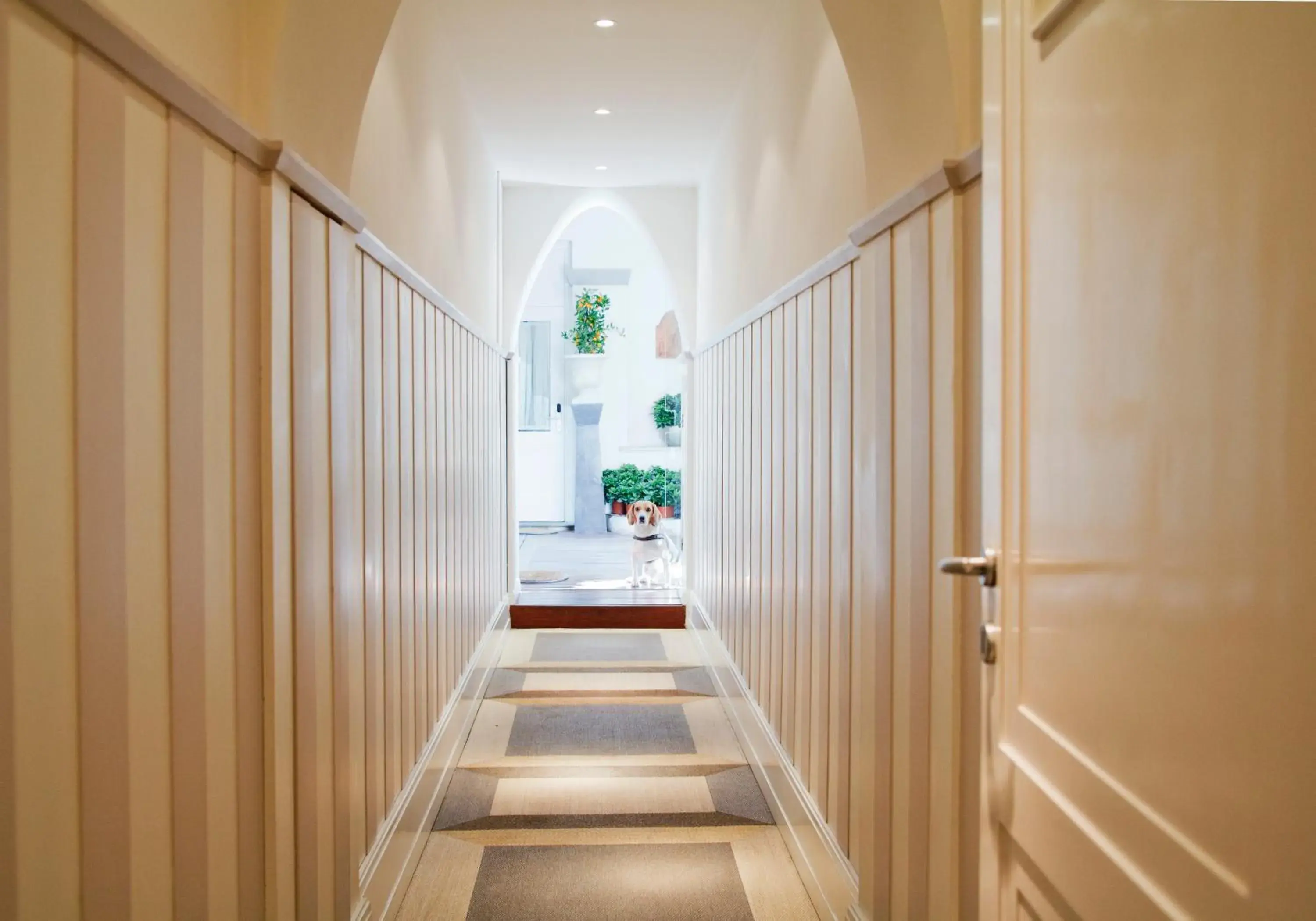 Balcony/Terrace in Piazza Di Spagna Prestige Balcony/Terrace in Piazza Di Spagna Prestige