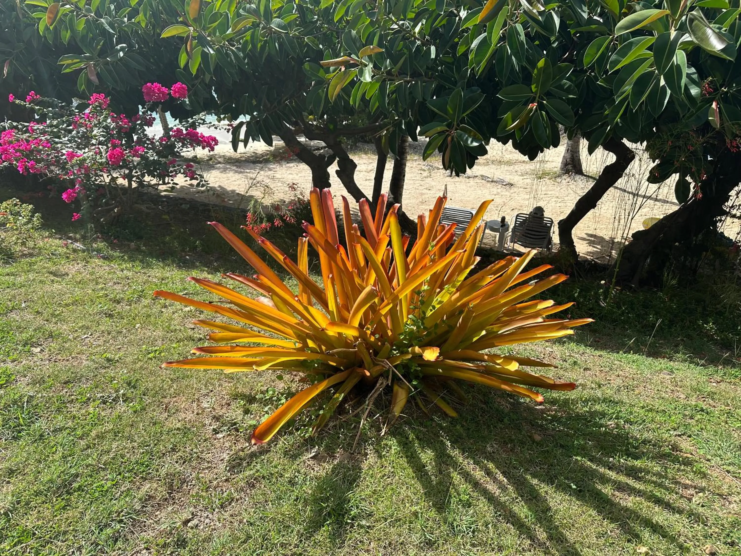 Garden in Secret Harbour Beach Resort