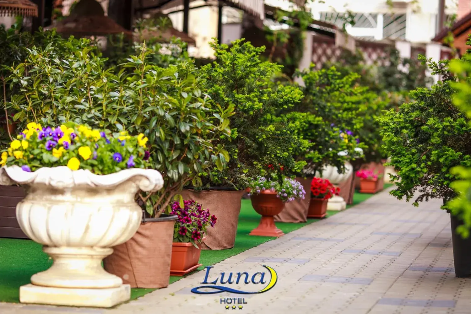 Property building in Luna Hotel Property building in Luna Hotel