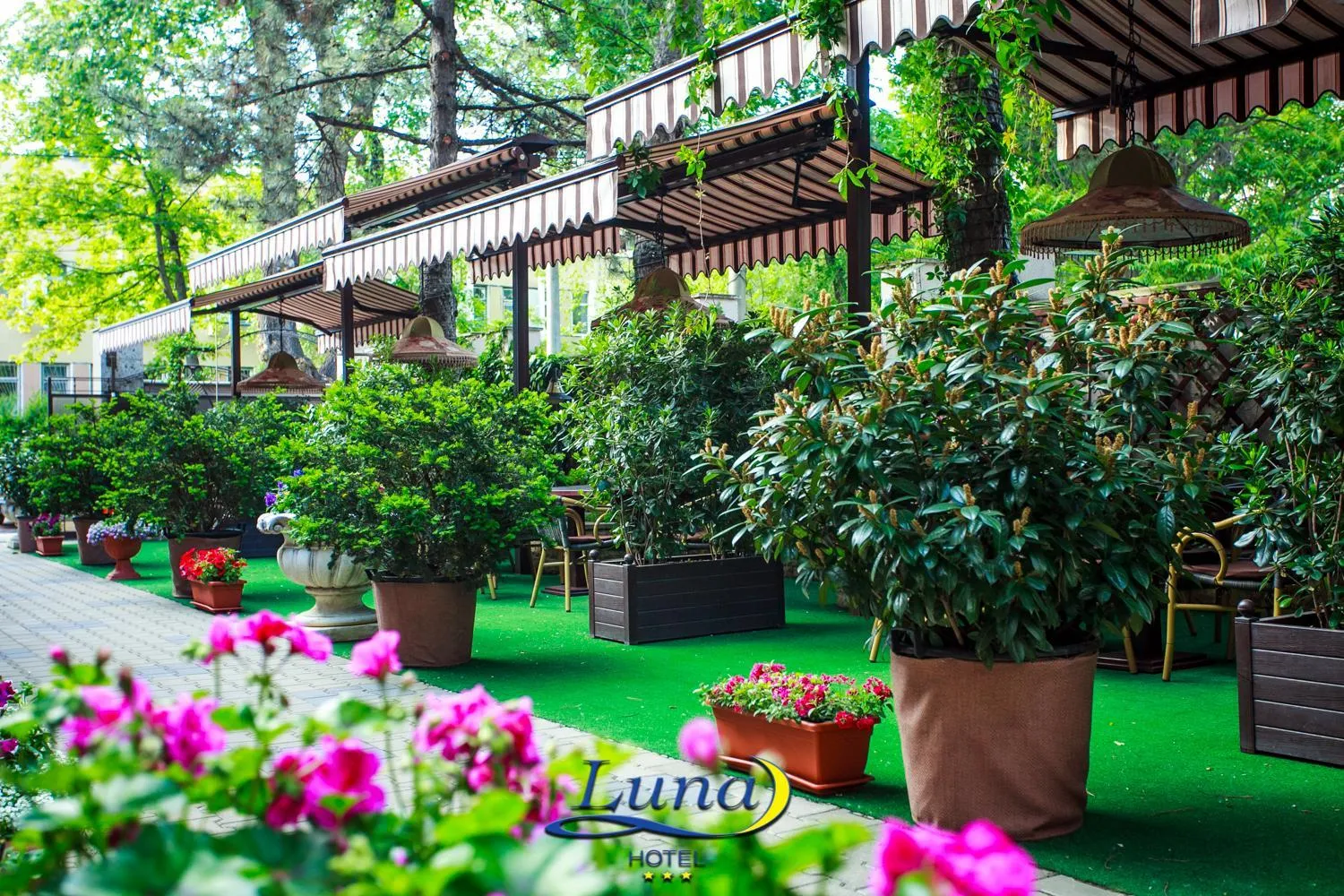 Natural landscape in Luna Hotel