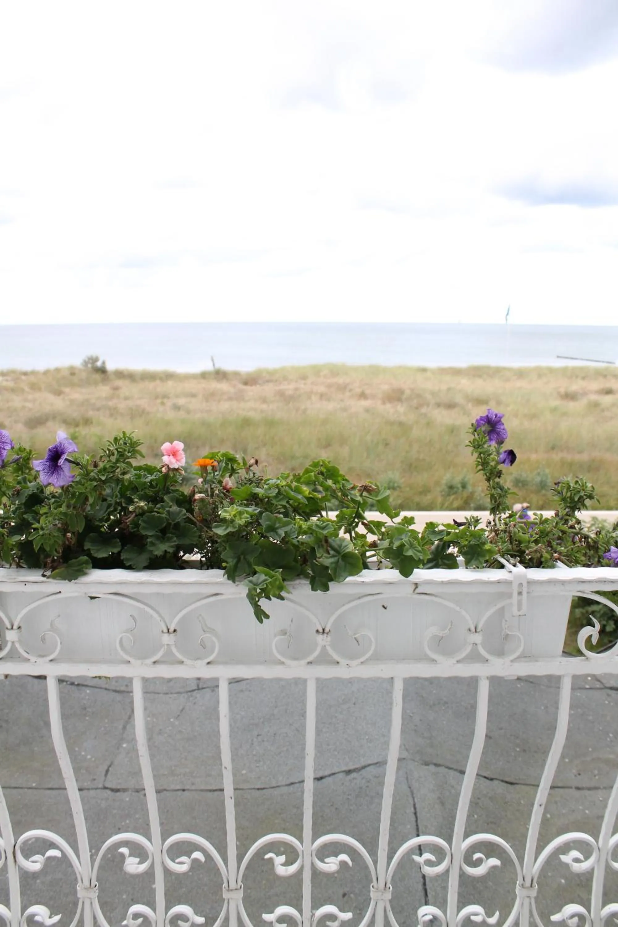 View (from property/room) in Hotel Stolteraa