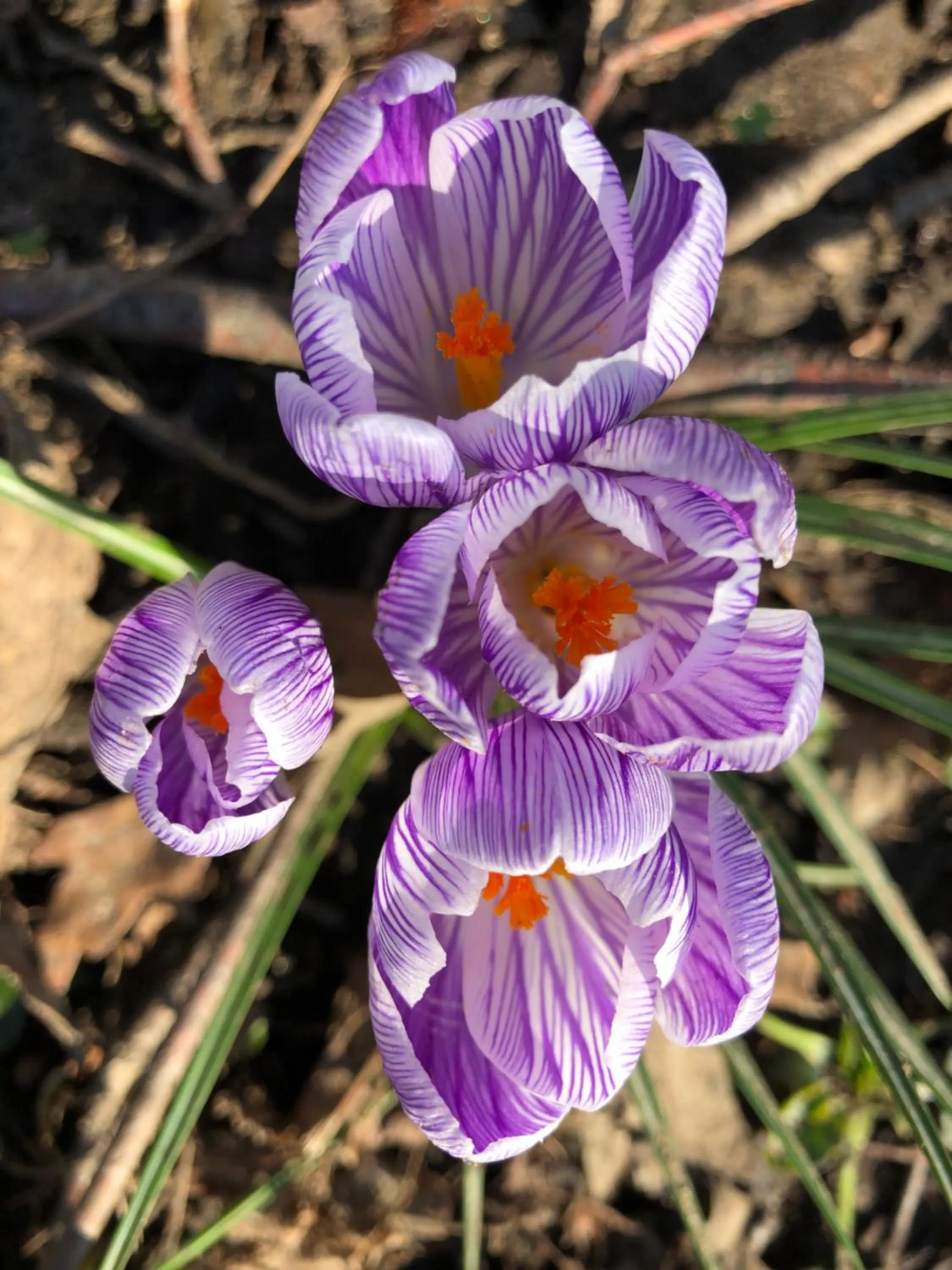 View (from property/room) in Wynberg House Bed & Breakfast Swansea