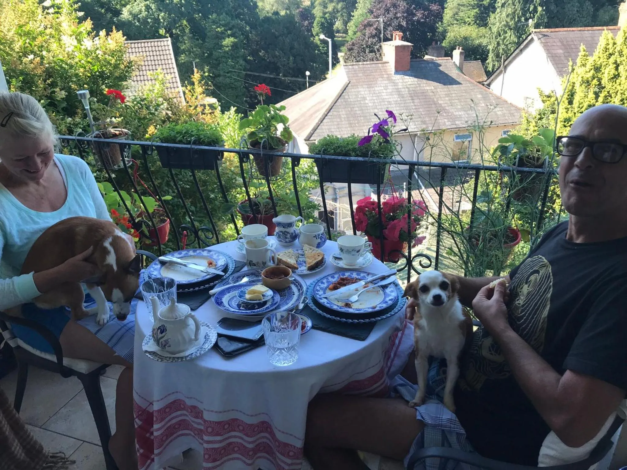 Patio in Wynberg House Bed & Breakfast Swansea