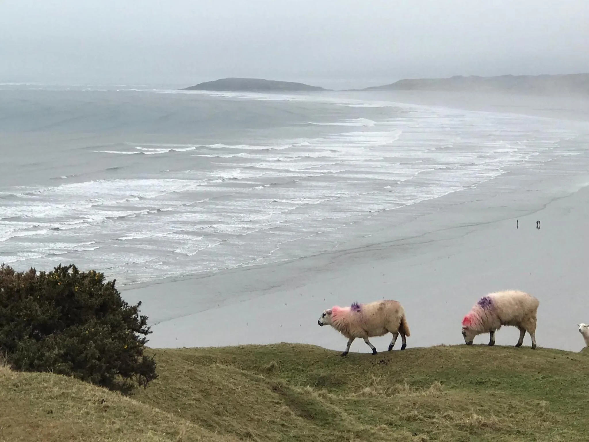 Day in Wynberg House Bed & Breakfast Swansea