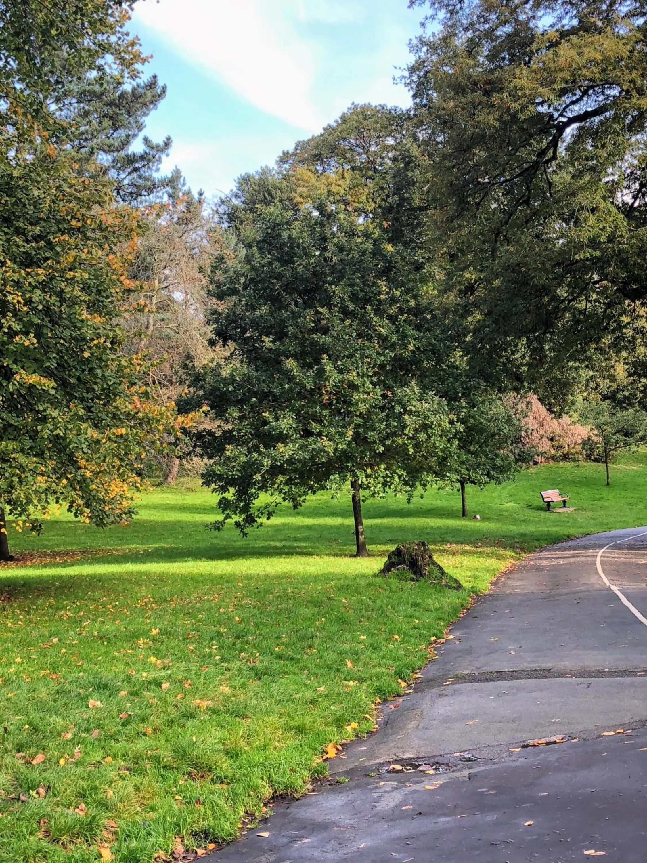 Day in Wynberg House Bed & Breakfast Swansea