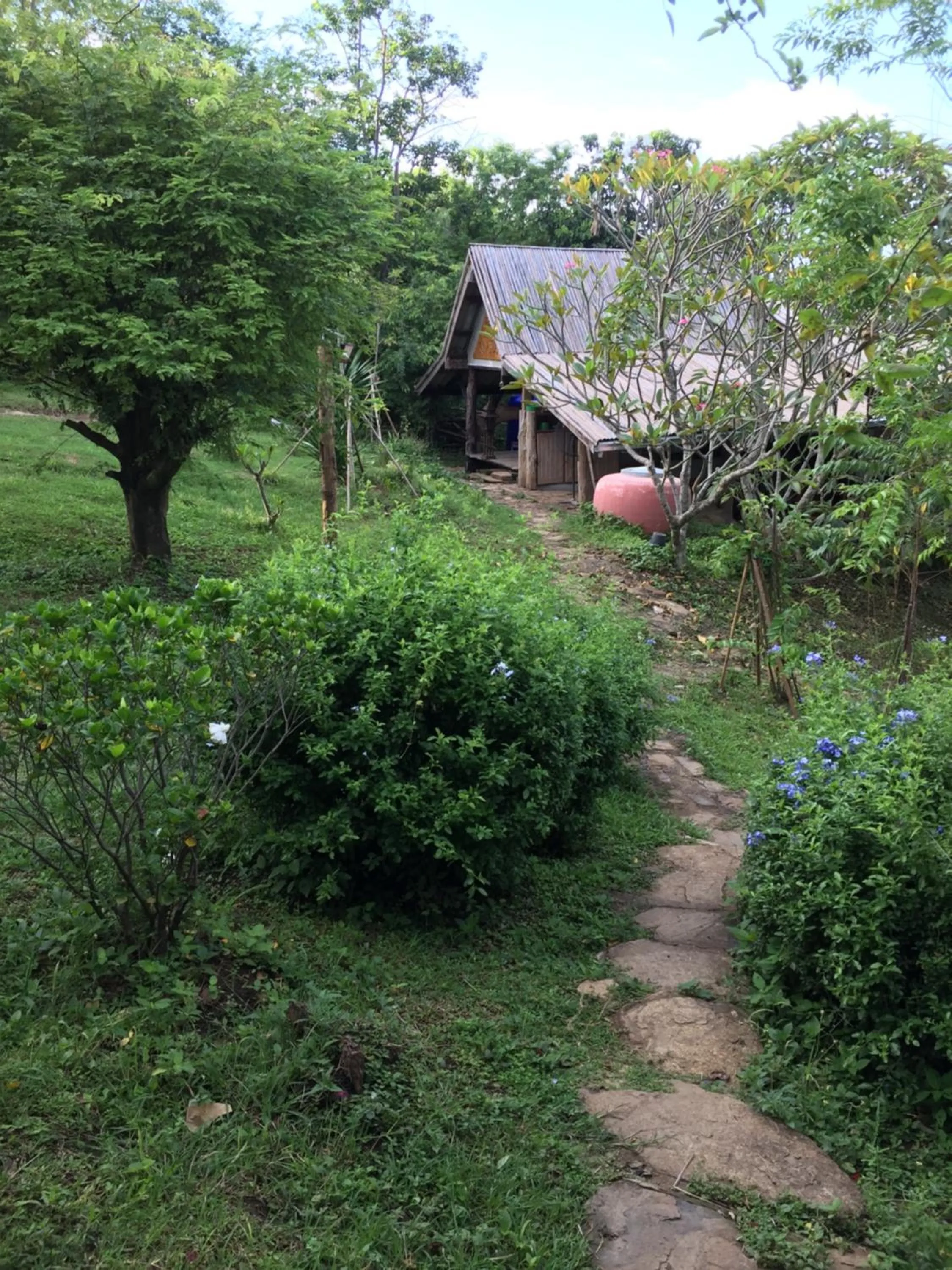 Garden in Cozycomo Nam Nao