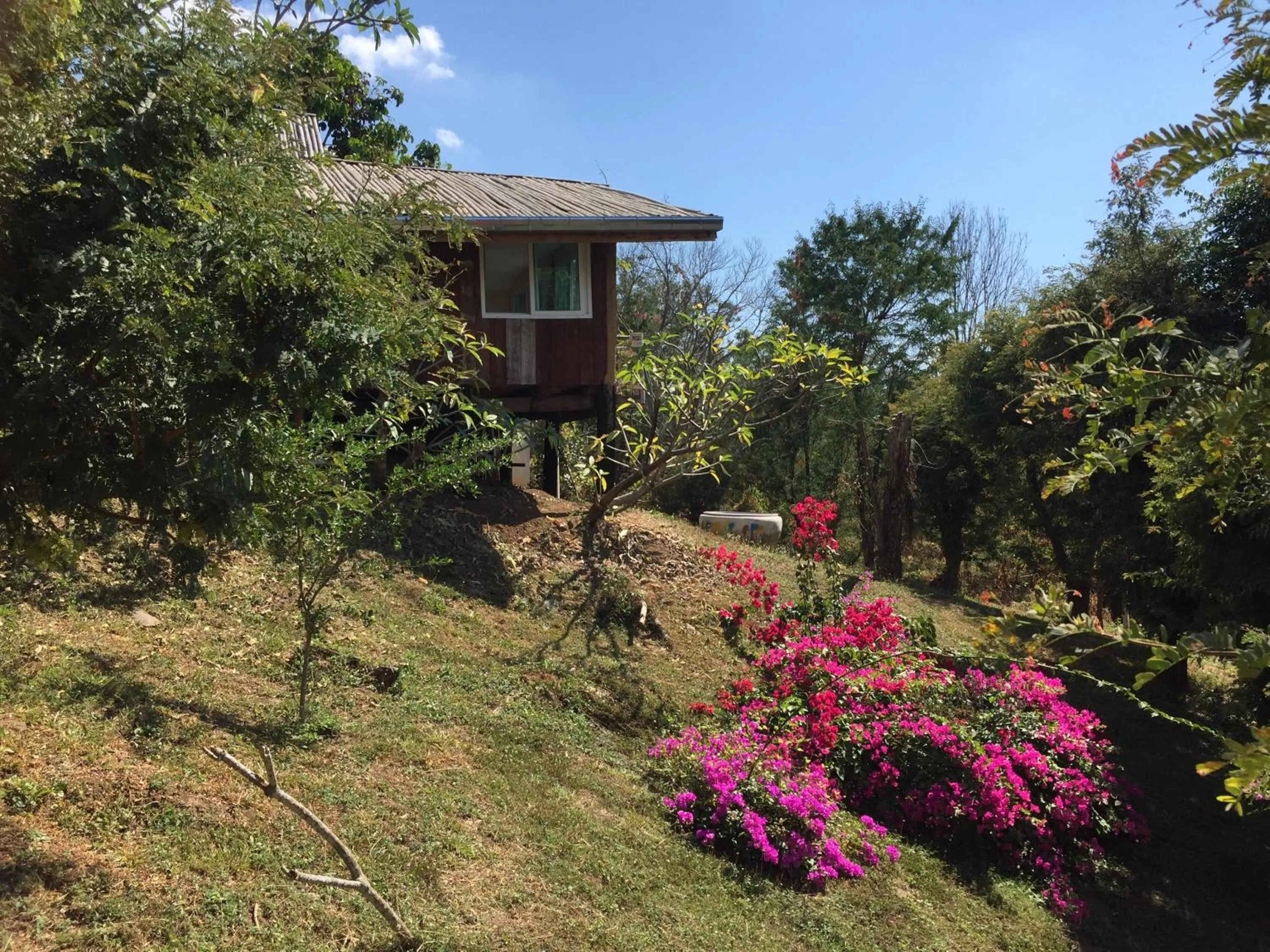 Garden in Cozycomo Nam Nao