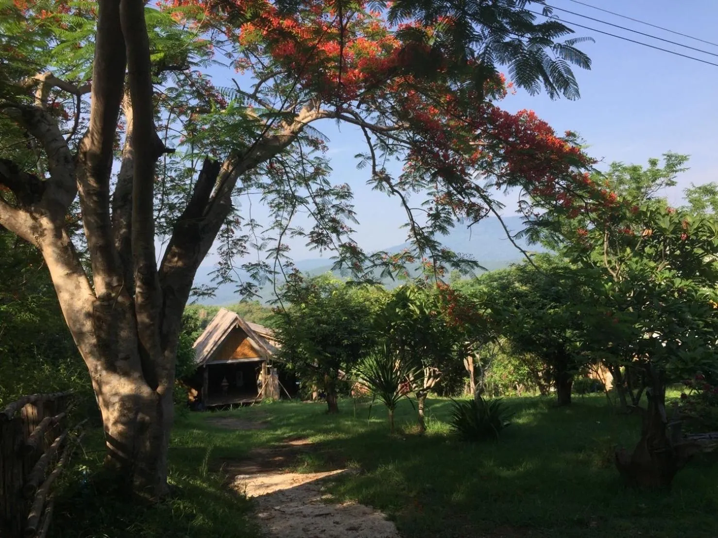 Garden view in Cozycomo Nam Nao
