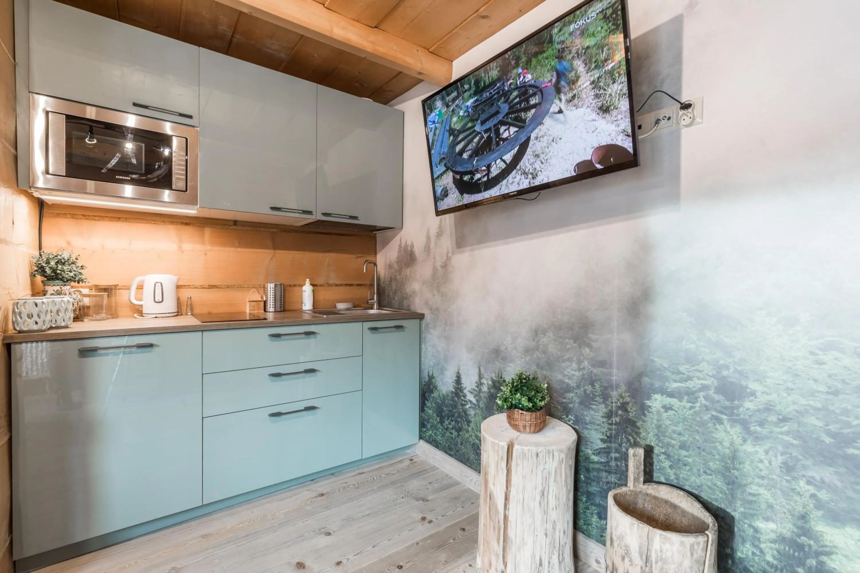 TV and multimedia in Apartamenty Biały Potok