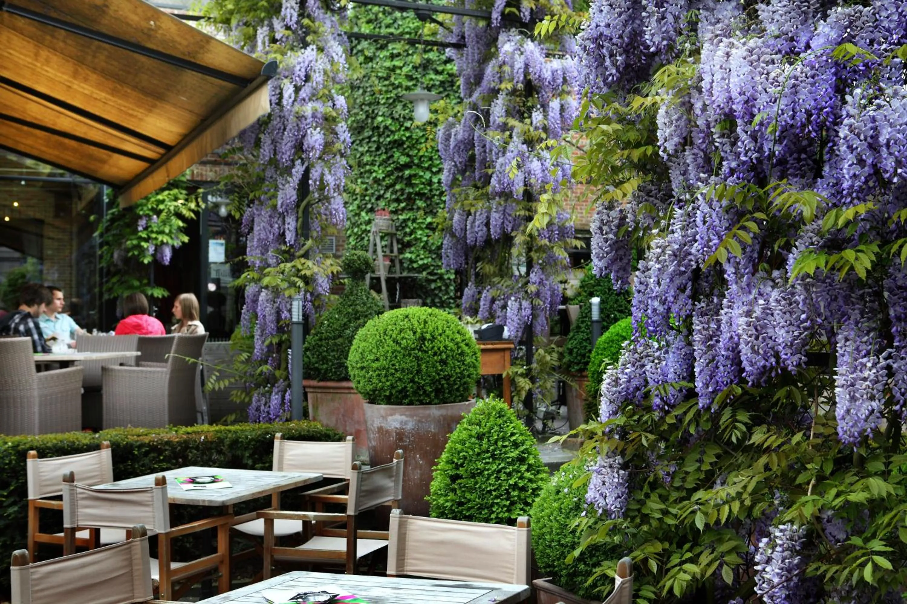 Lounge or bar in Tuinhotel