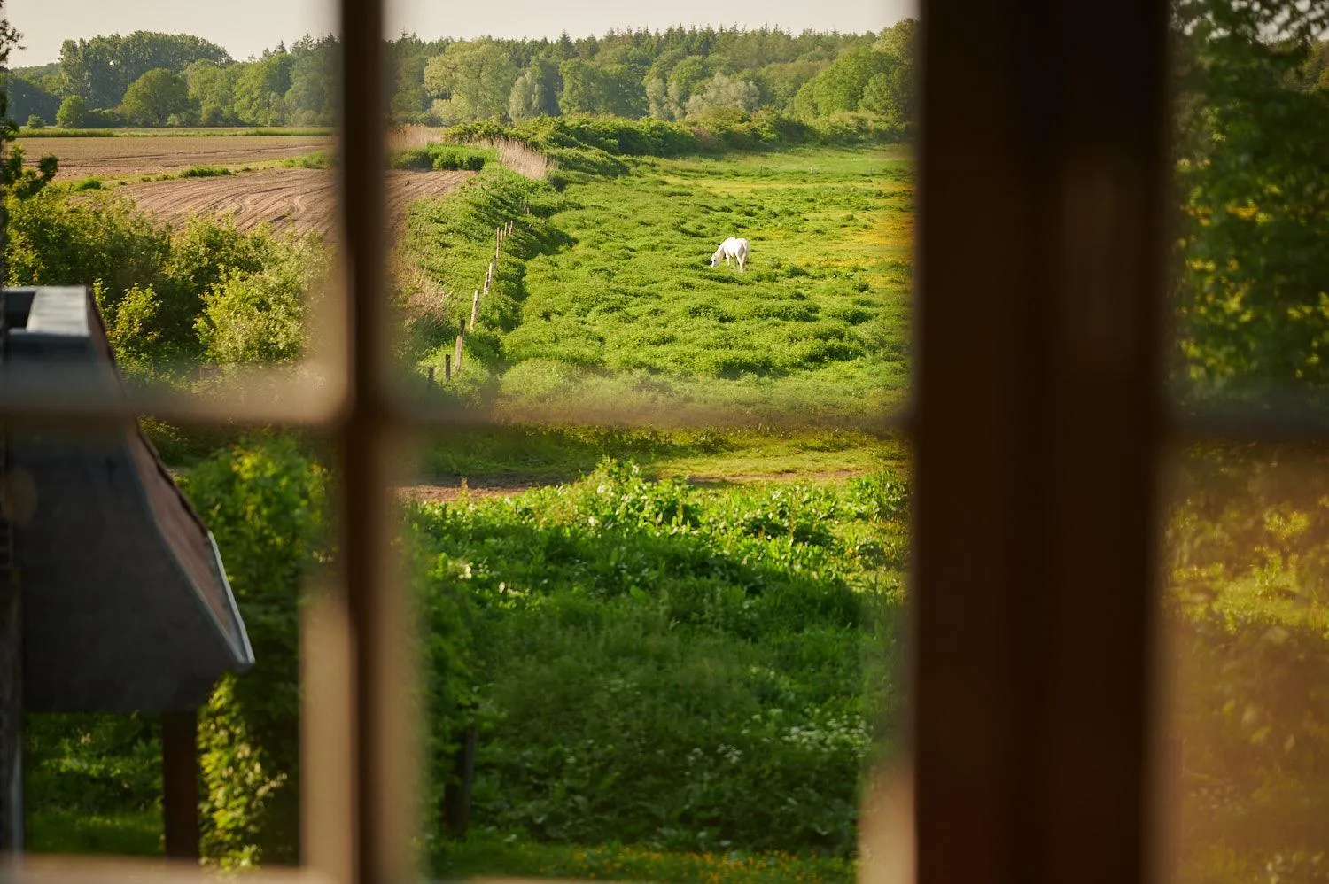 Natural landscape in Schloss Wissen