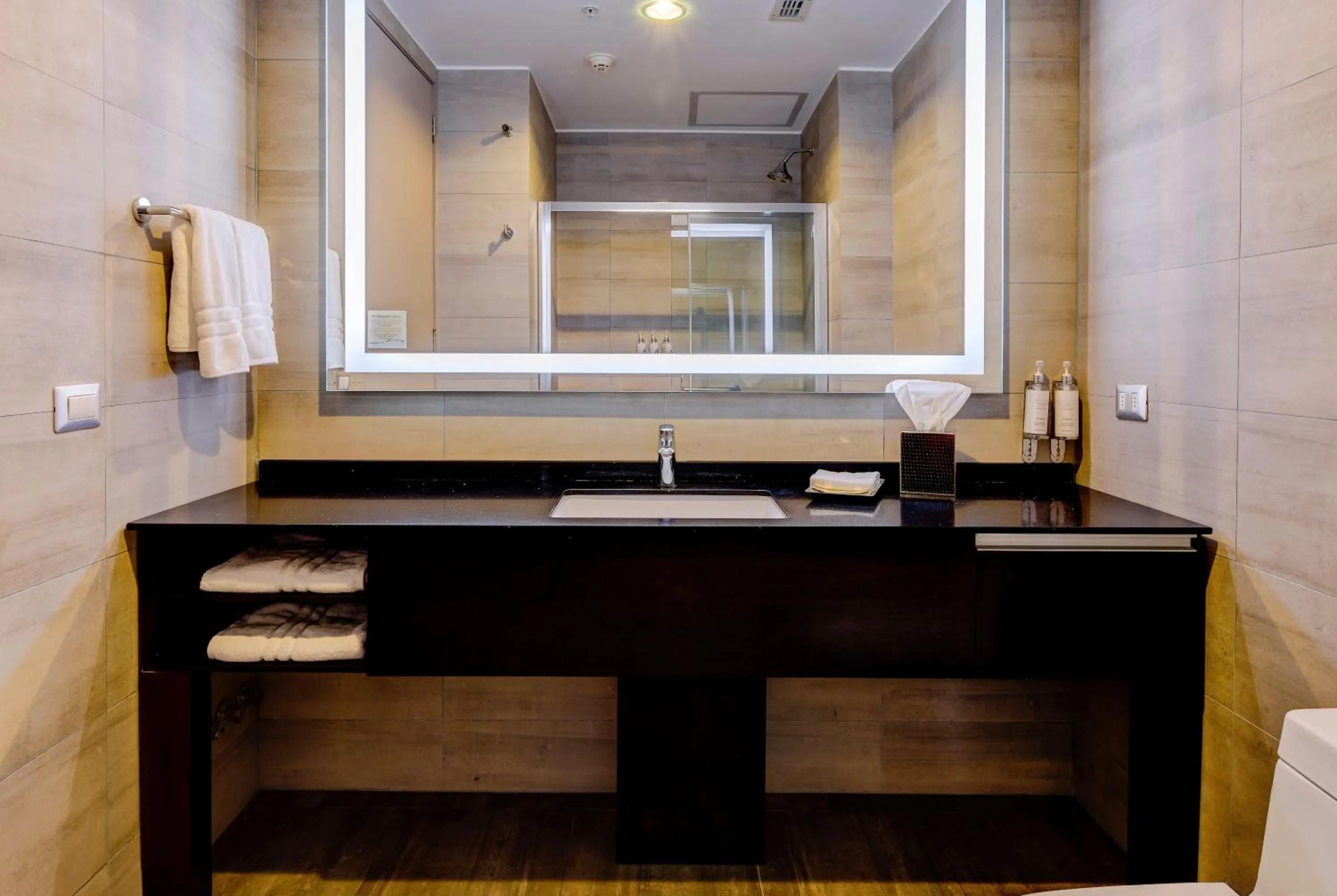 Bathroom in Wyndham Santiago Aeropuerto