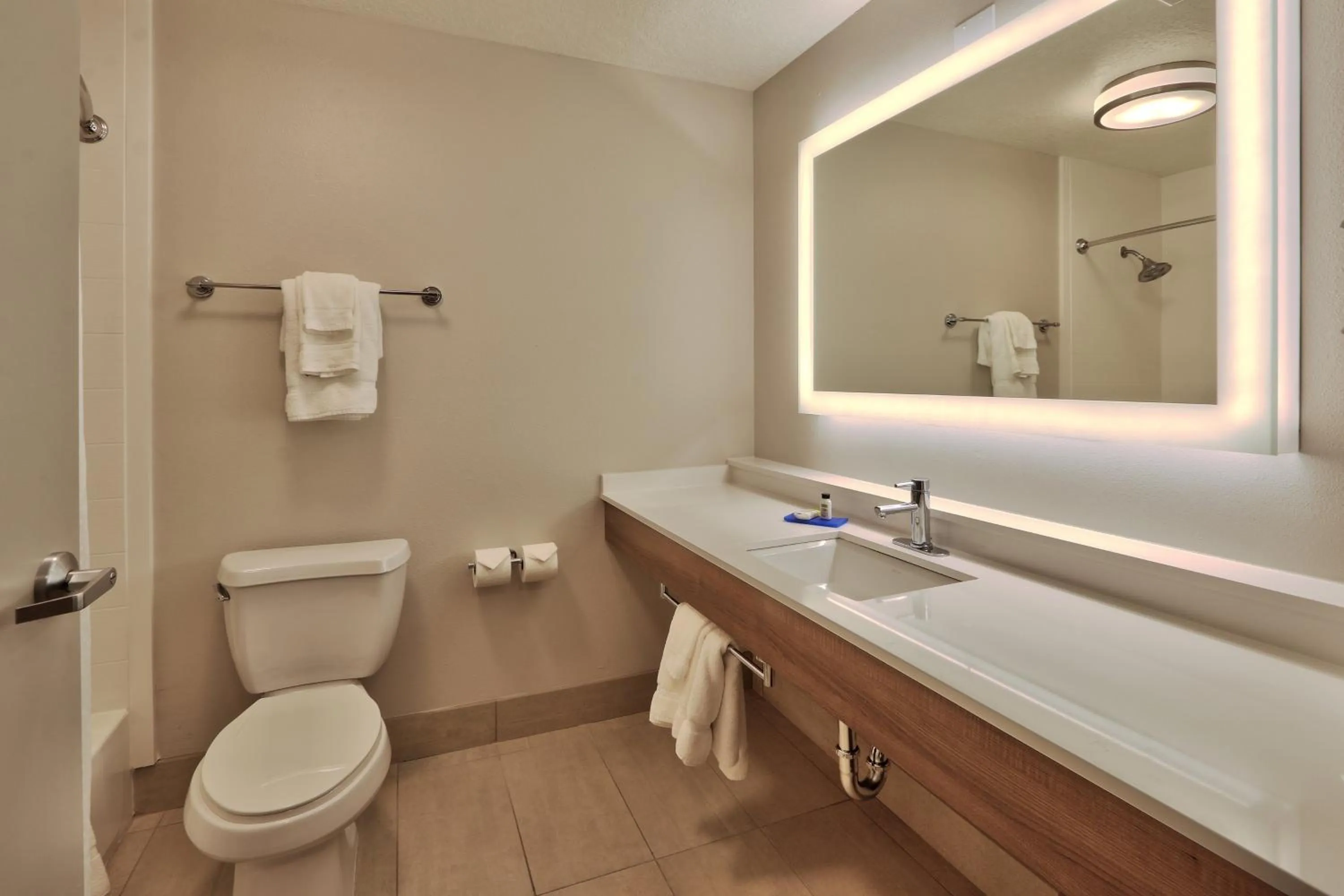 Bathroom in Holiday Inn Express Socorro by IHG