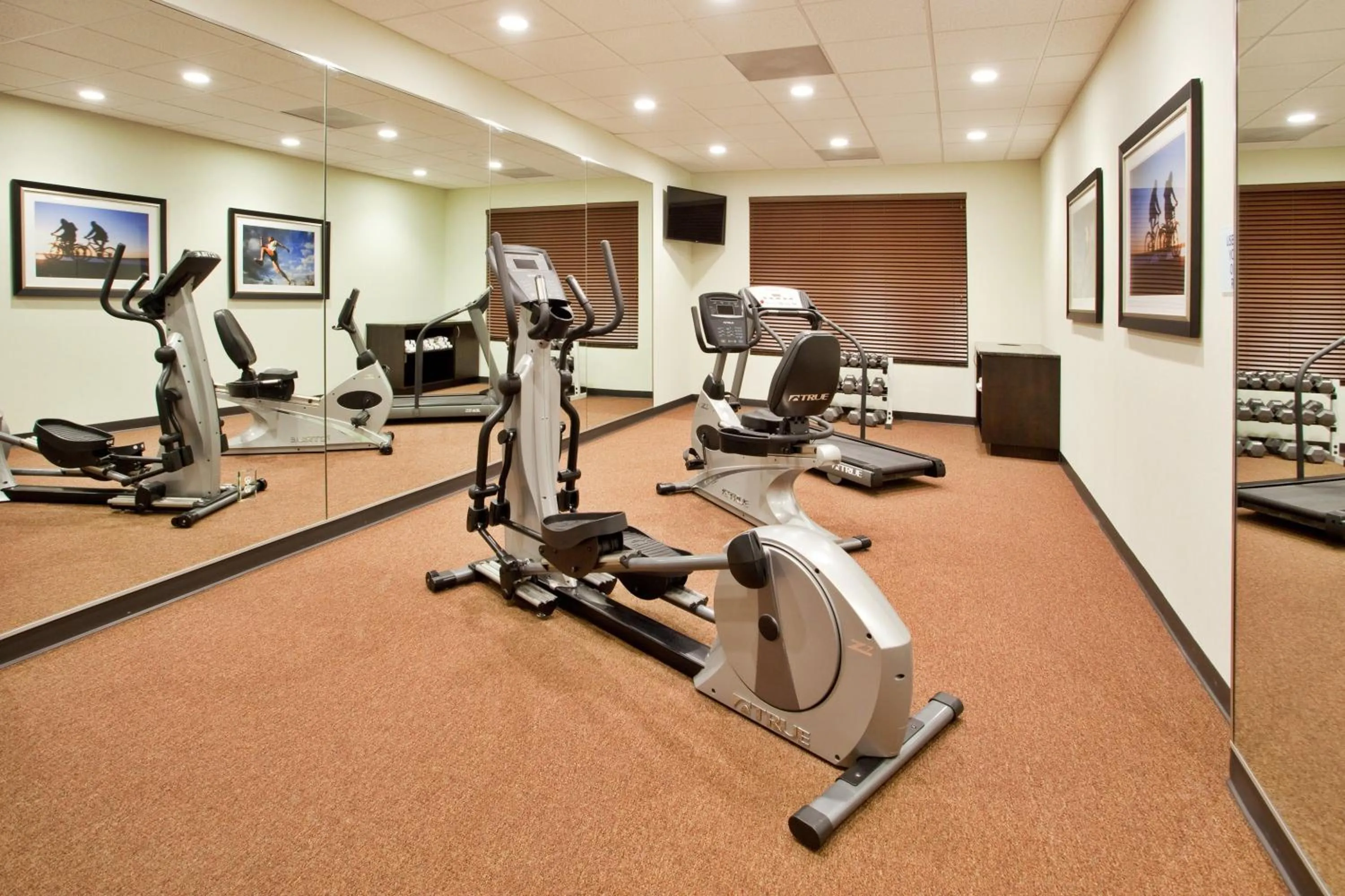 Fitness centre/facilities in Holiday Inn Express & Suites Buford NE - Lake Lanier by IHG