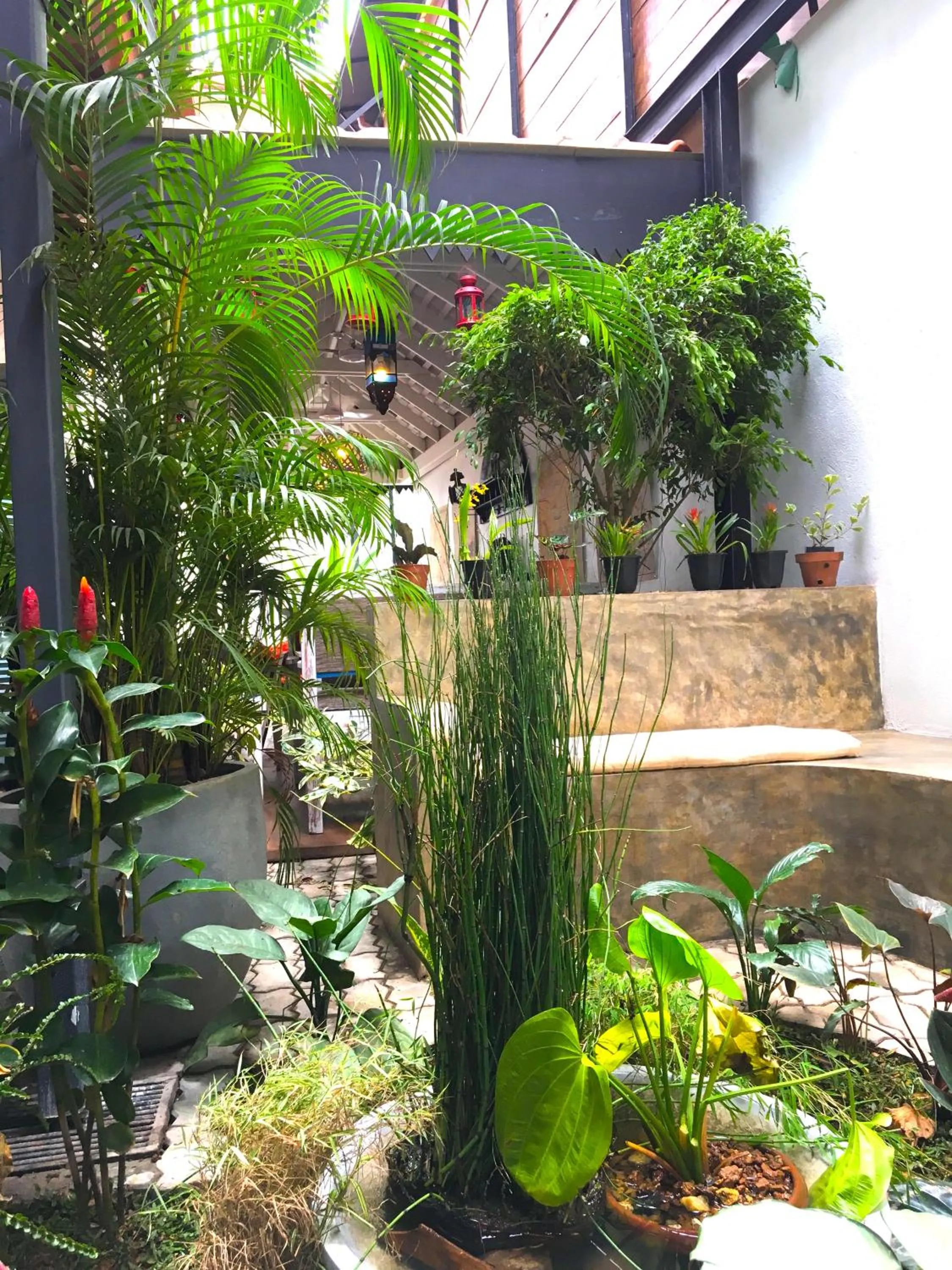 Garden view in LE JARDIN DU FORT - GALLE