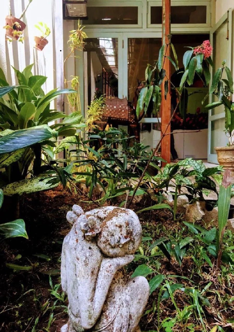 Garden in LE JARDIN DU FORT - GALLE