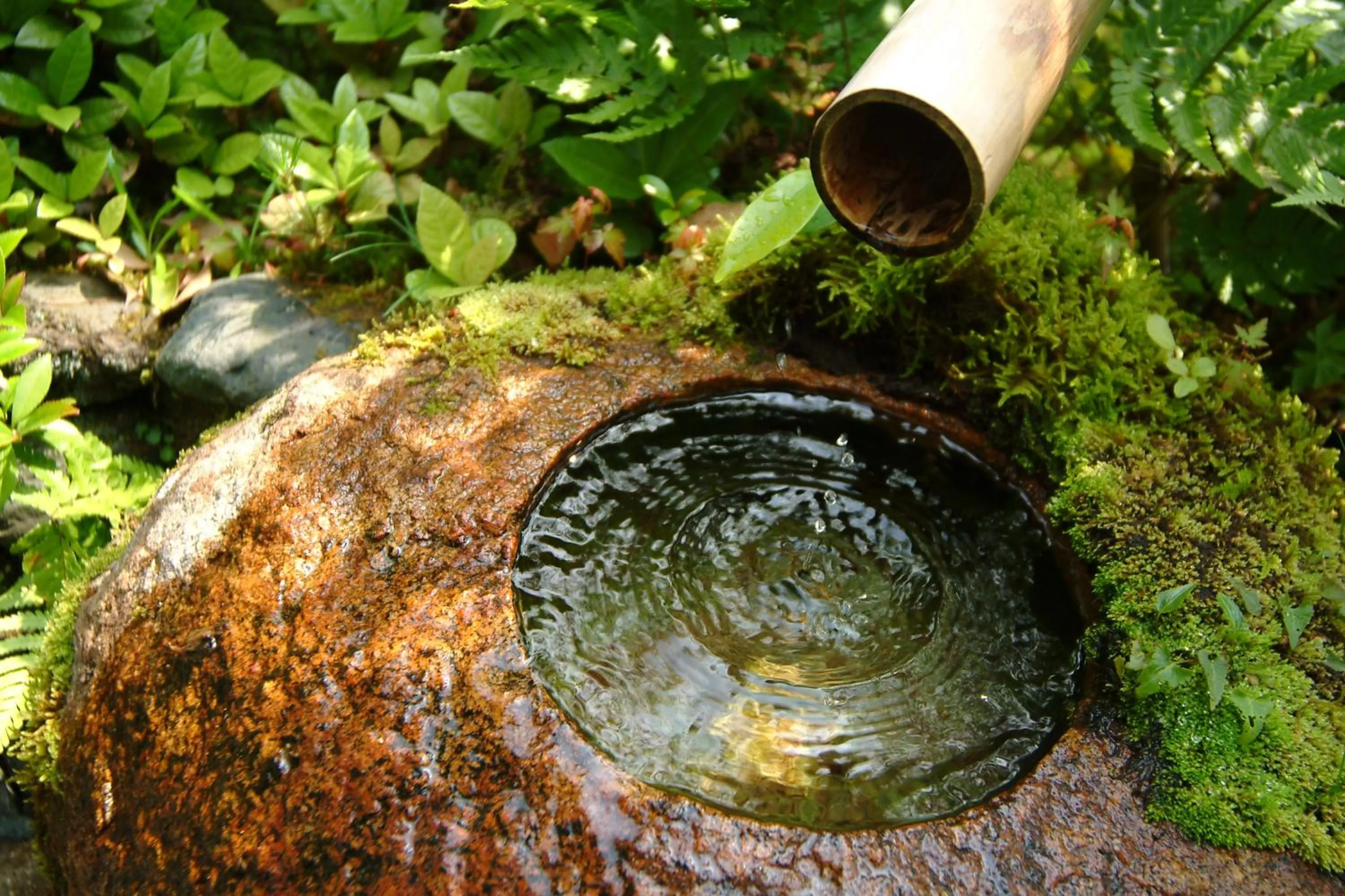 Garden in Monjusou Shourotei