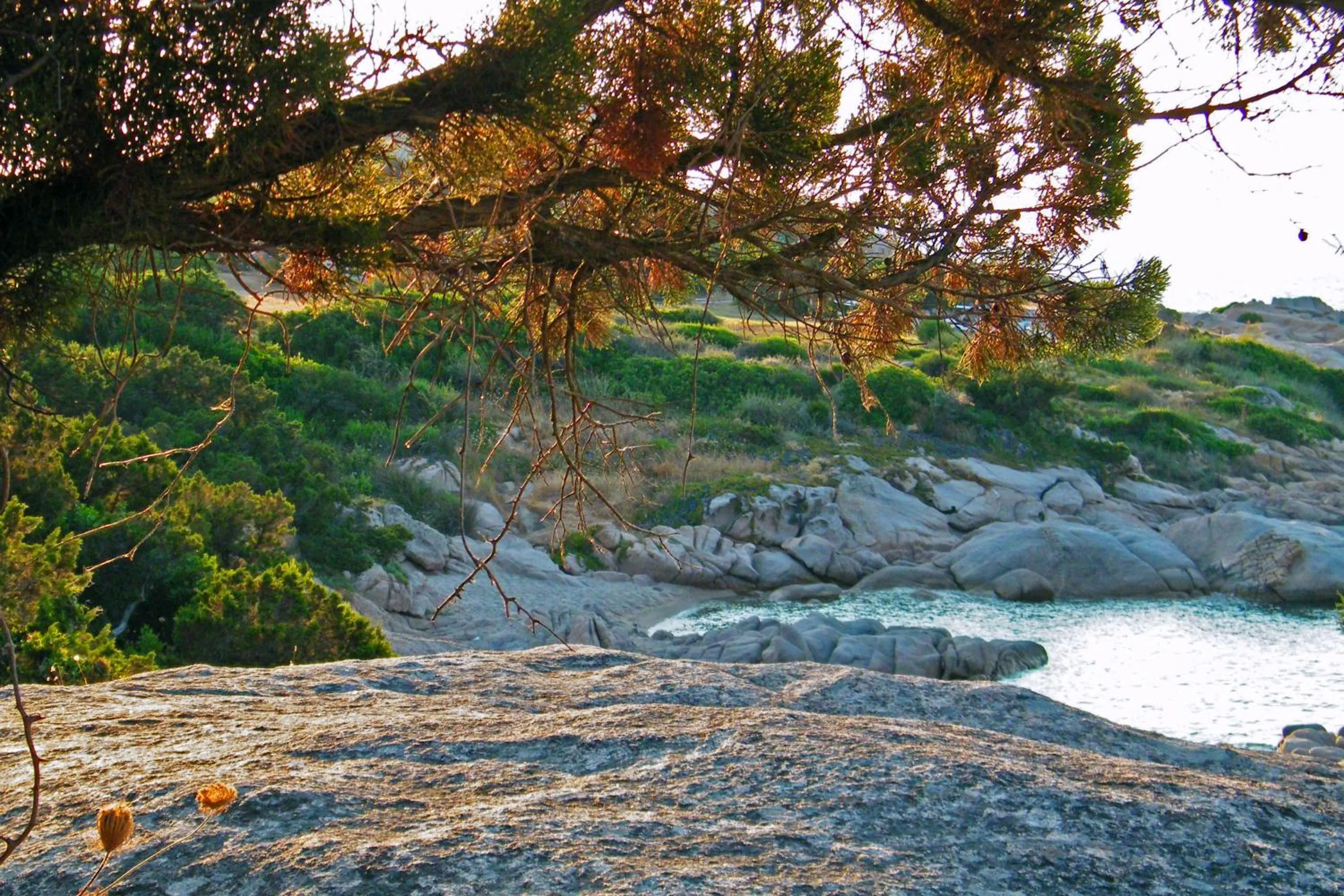 Natural landscape in Hotel Porto Piccolo