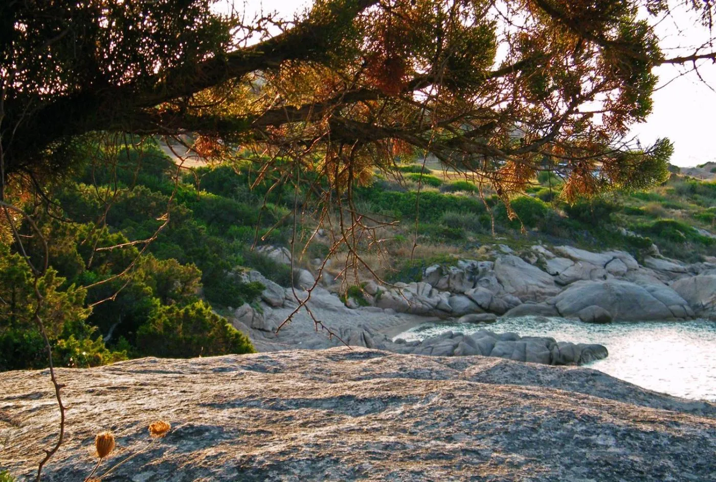 Natural landscape in Hotel Porto Piccolo