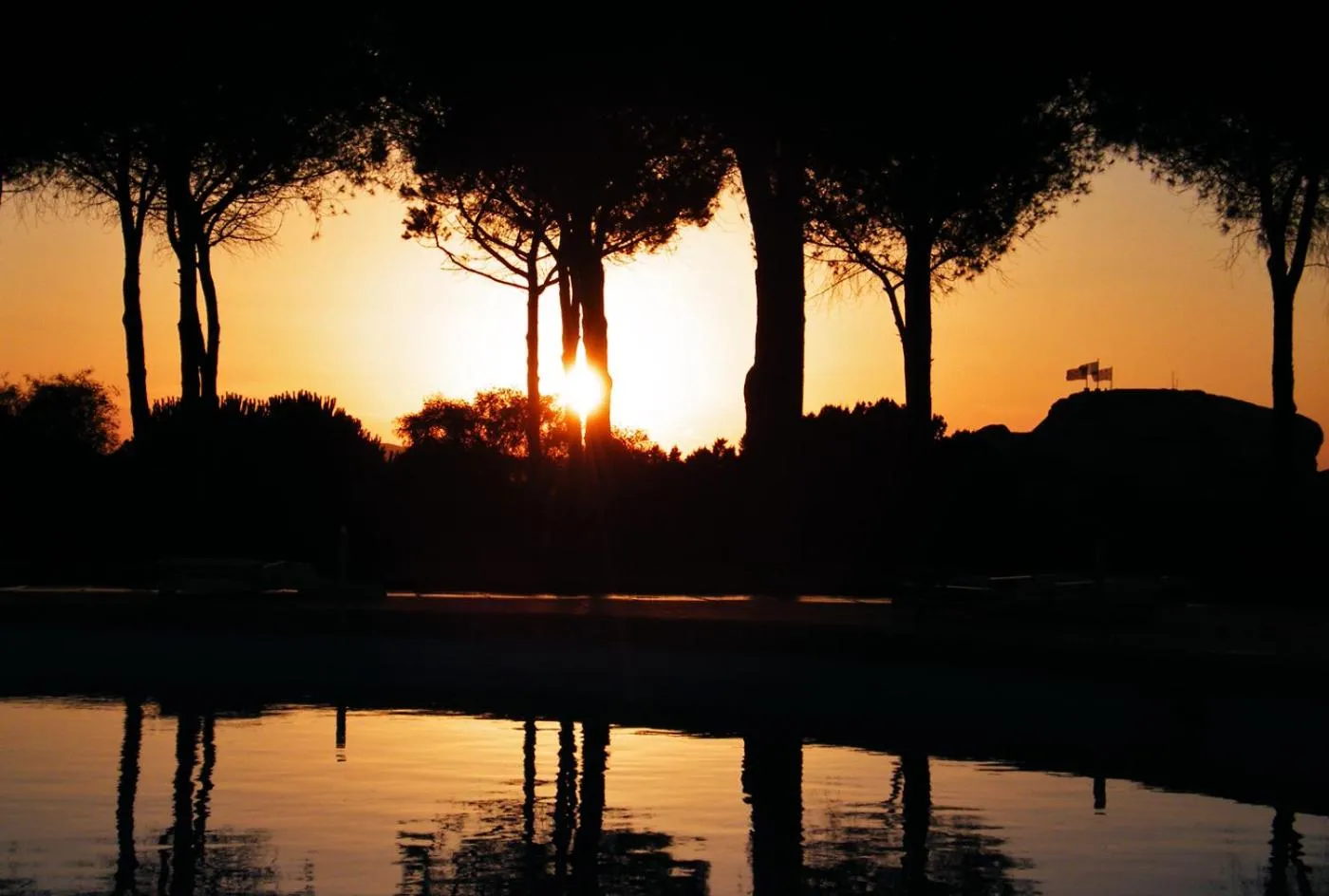 Garden in Hotel Porto Piccolo