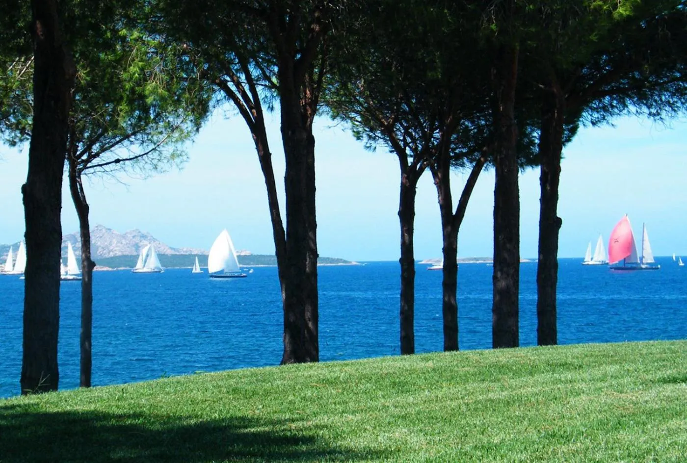 Garden in Hotel Porto Piccolo
