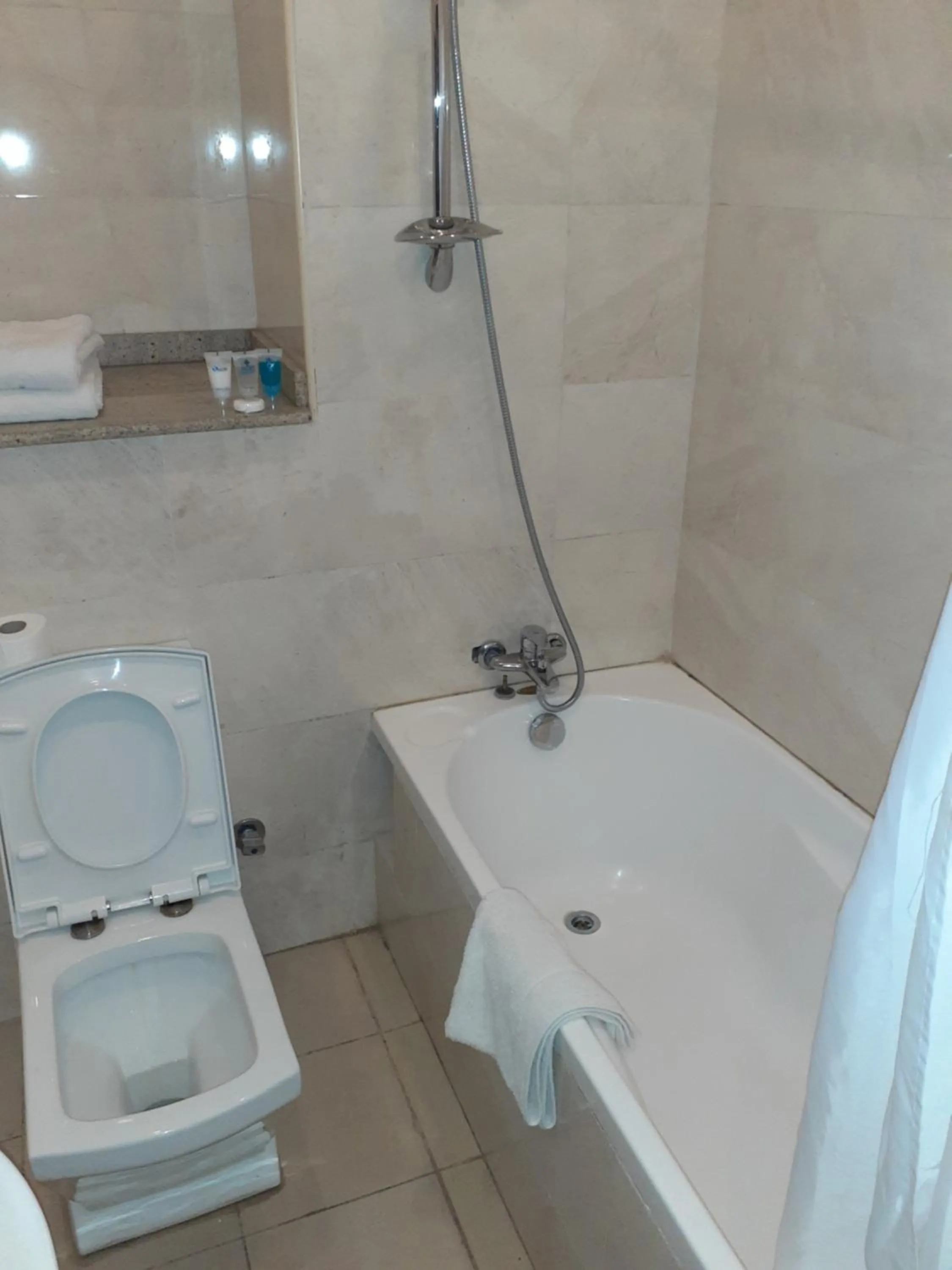 Bathroom in Ace Premier Hotel