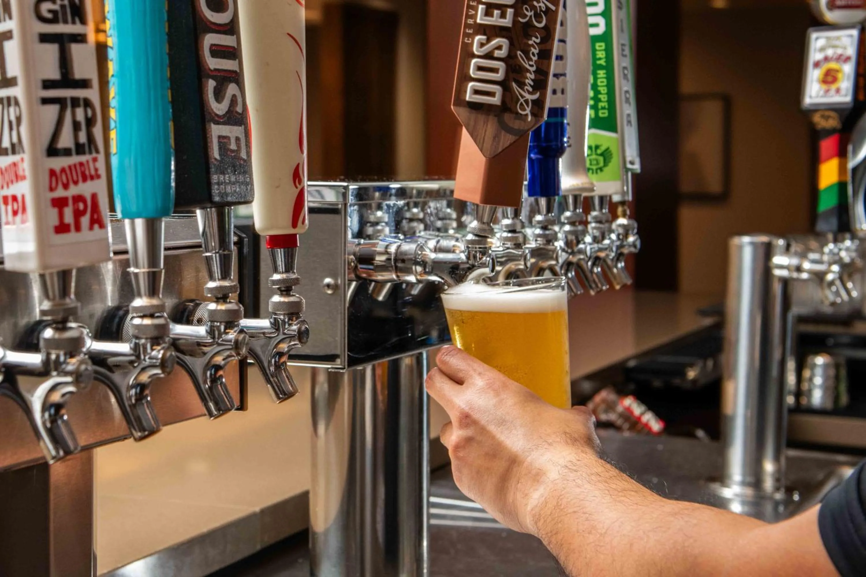 Lounge or bar in DoubleTree by Hilton San Francisco Airport