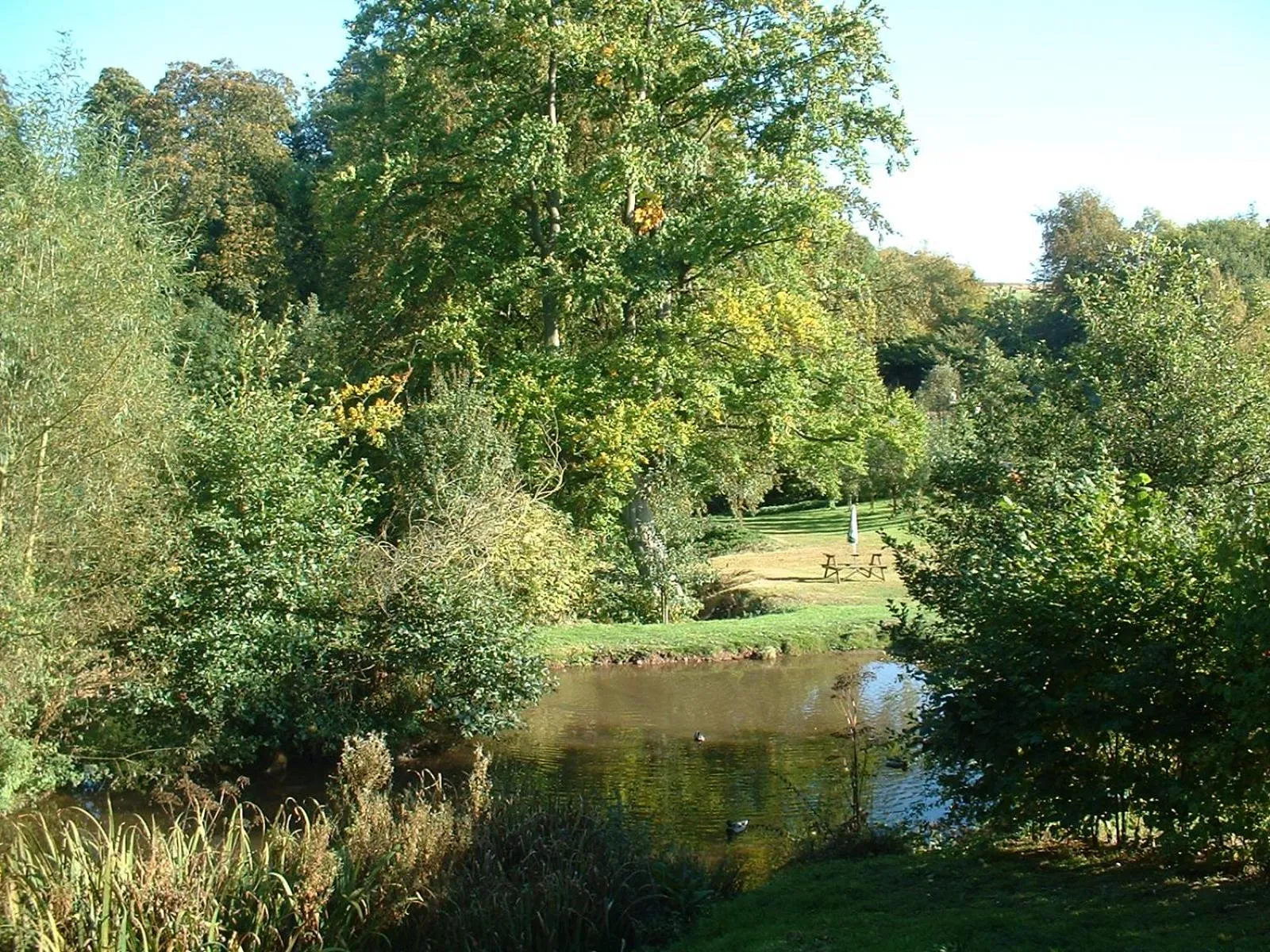 Garden in The Hopton Crown