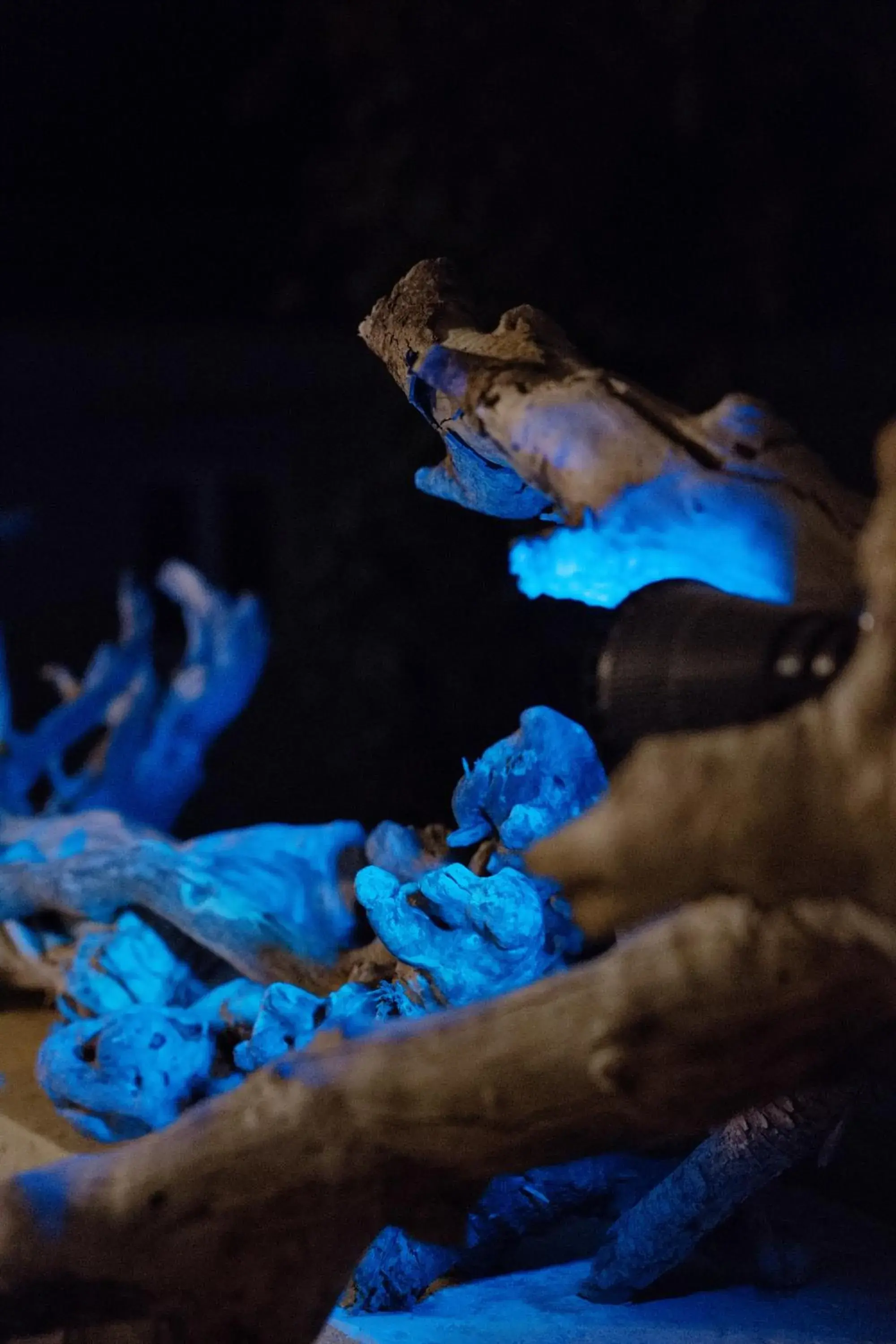 Swimming pool in Sunrise Inn Swimming pool in Sunrise Inn