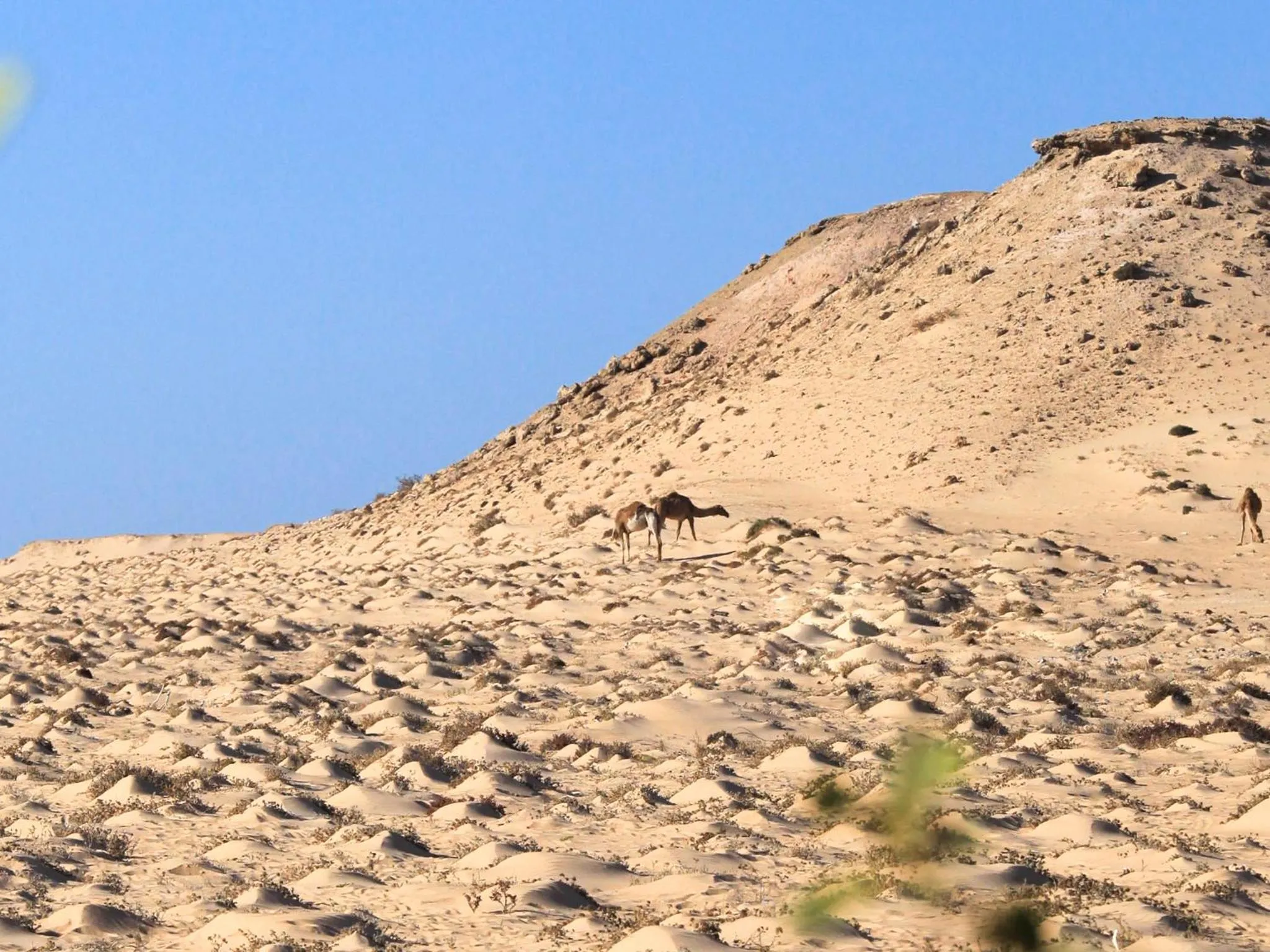 Nearby landmark in Dakhla Kitesurf World