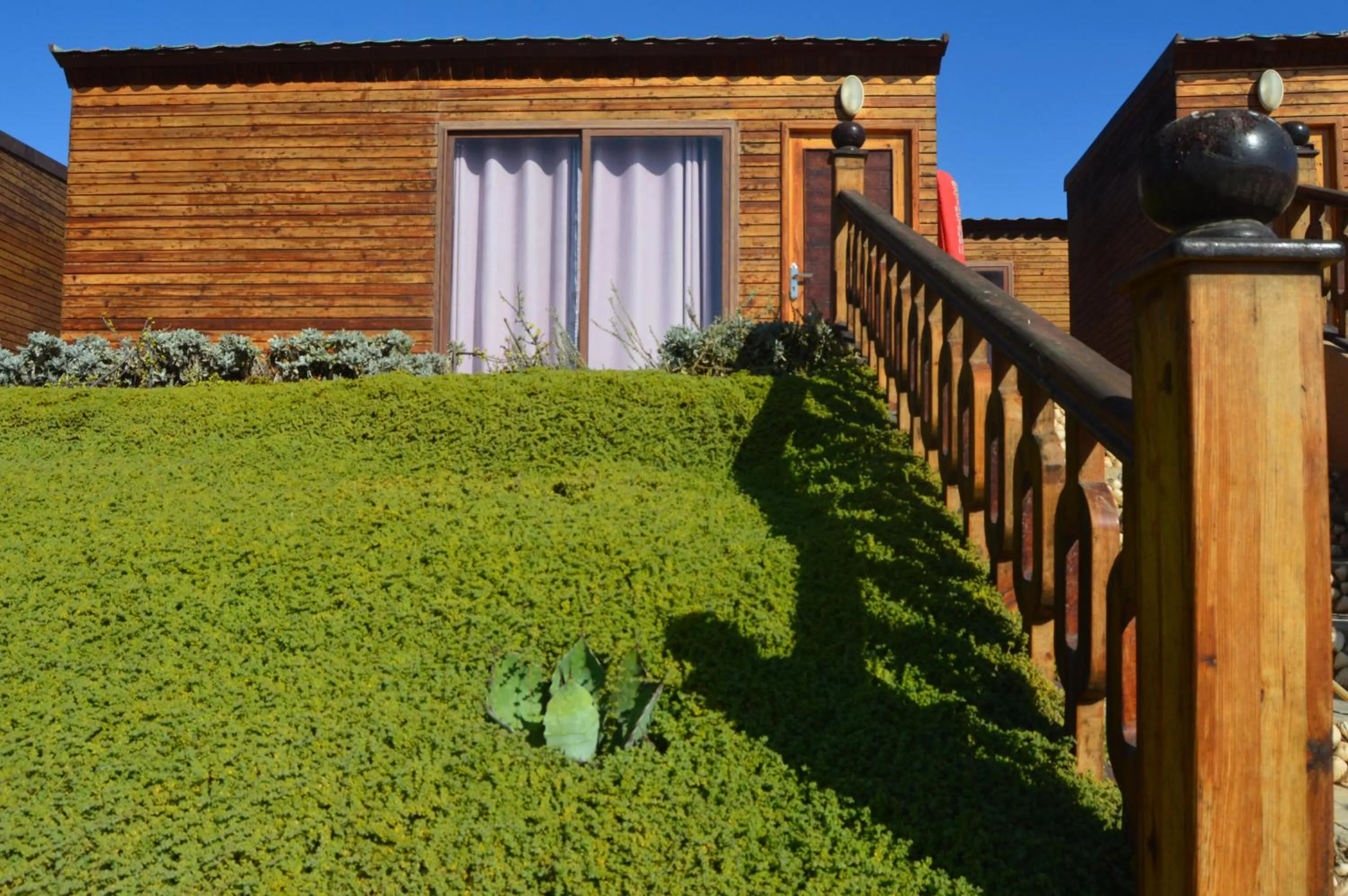 Garden in Dakhla Kitesurf World