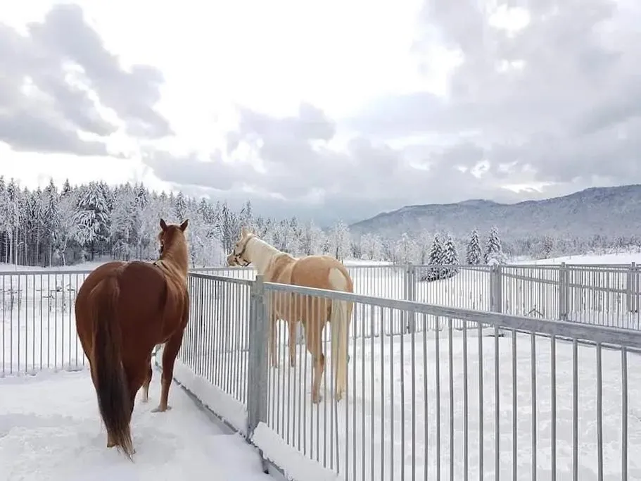 People in Ranch Marina