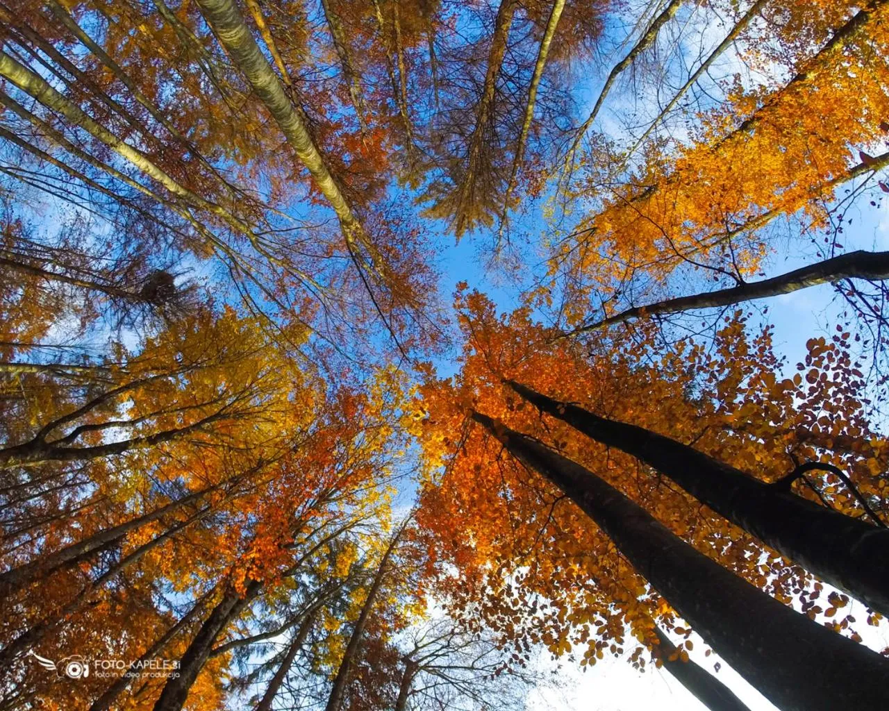 On site in Ranch Marina