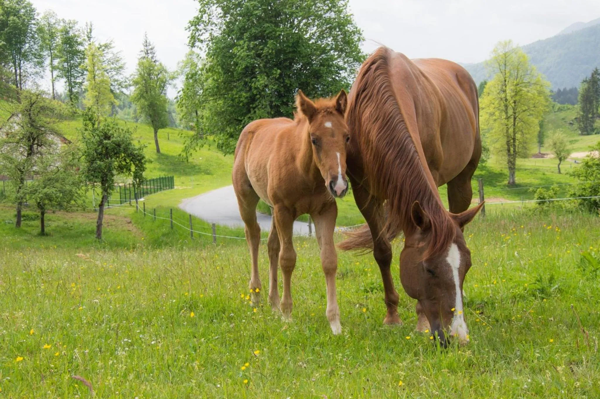 Natural landscape in Ranch Marina