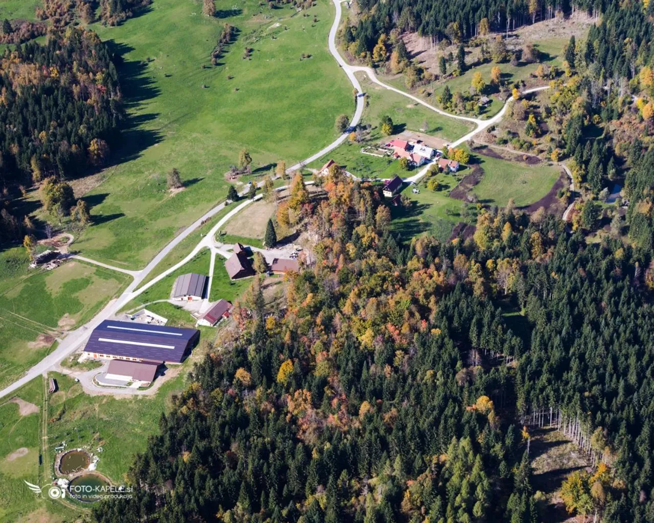 Neighbourhood in Ranch Marina