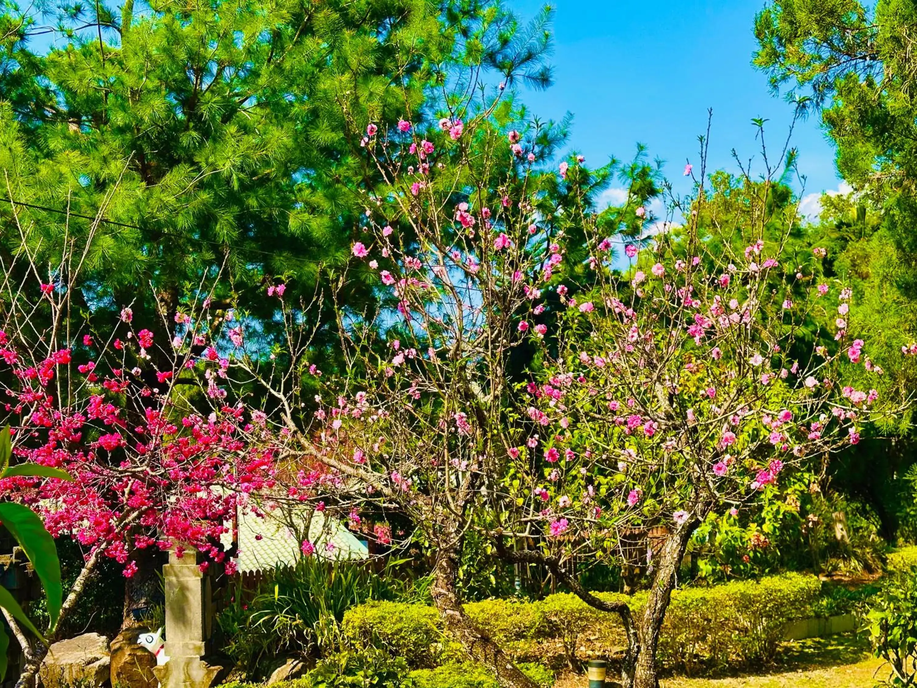 Property building in Yue Ya Villa Property building in Yue Ya Villa