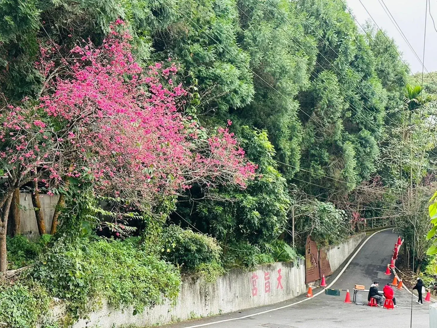 Hiking in Yue Ya Villa Hiking in Yue Ya Villa