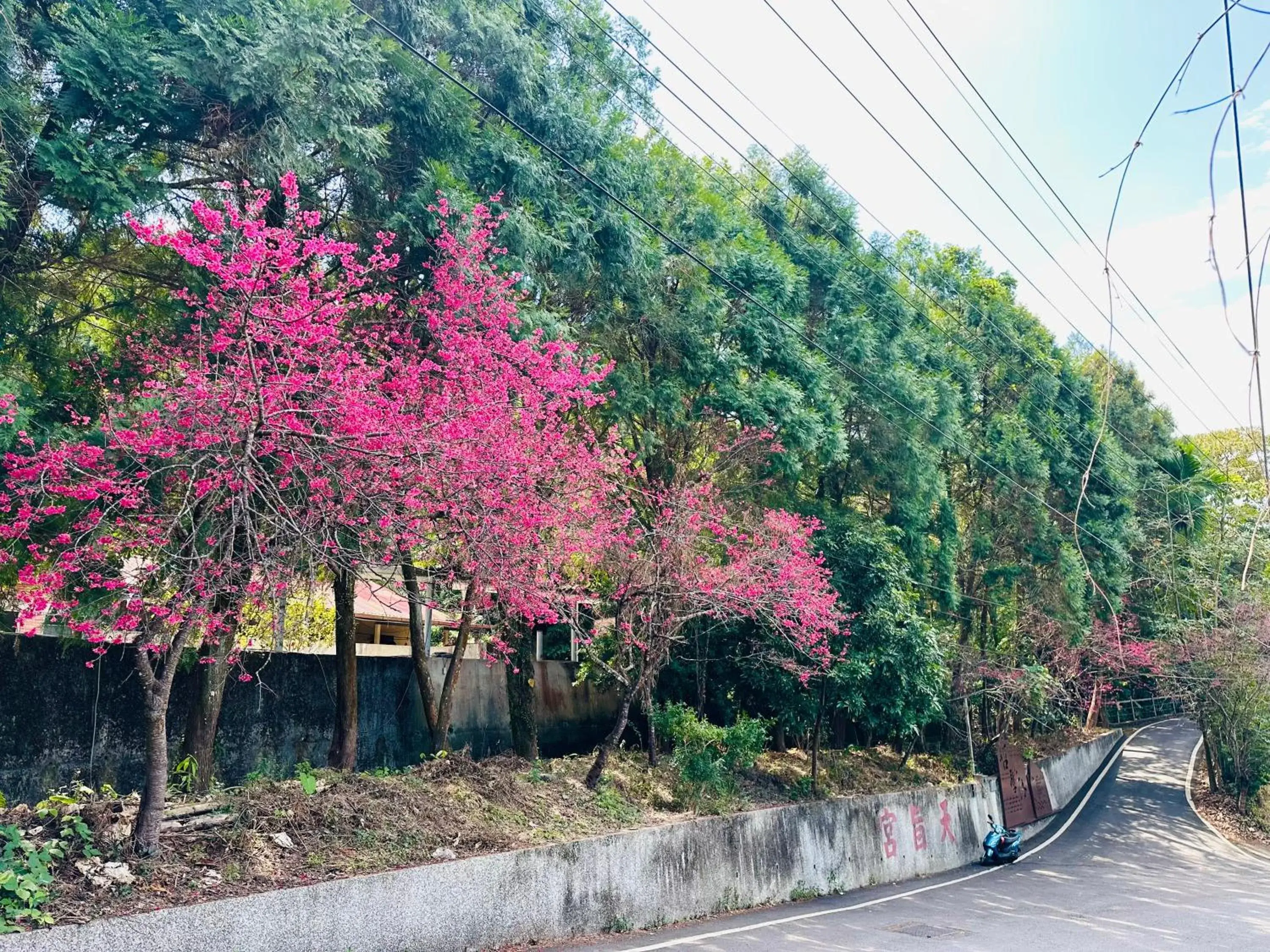 Landmark view in Yue Ya Villa Landmark view in Yue Ya Villa